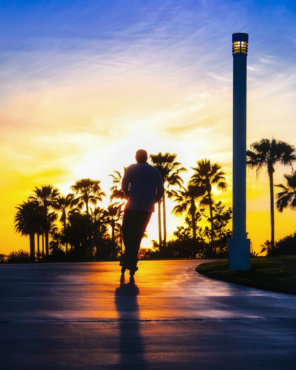 silhouette dell'uomo in piedi vicino alle palme durante il tramonto
