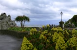 Scenic view of a tropical garden with colorful flowers.