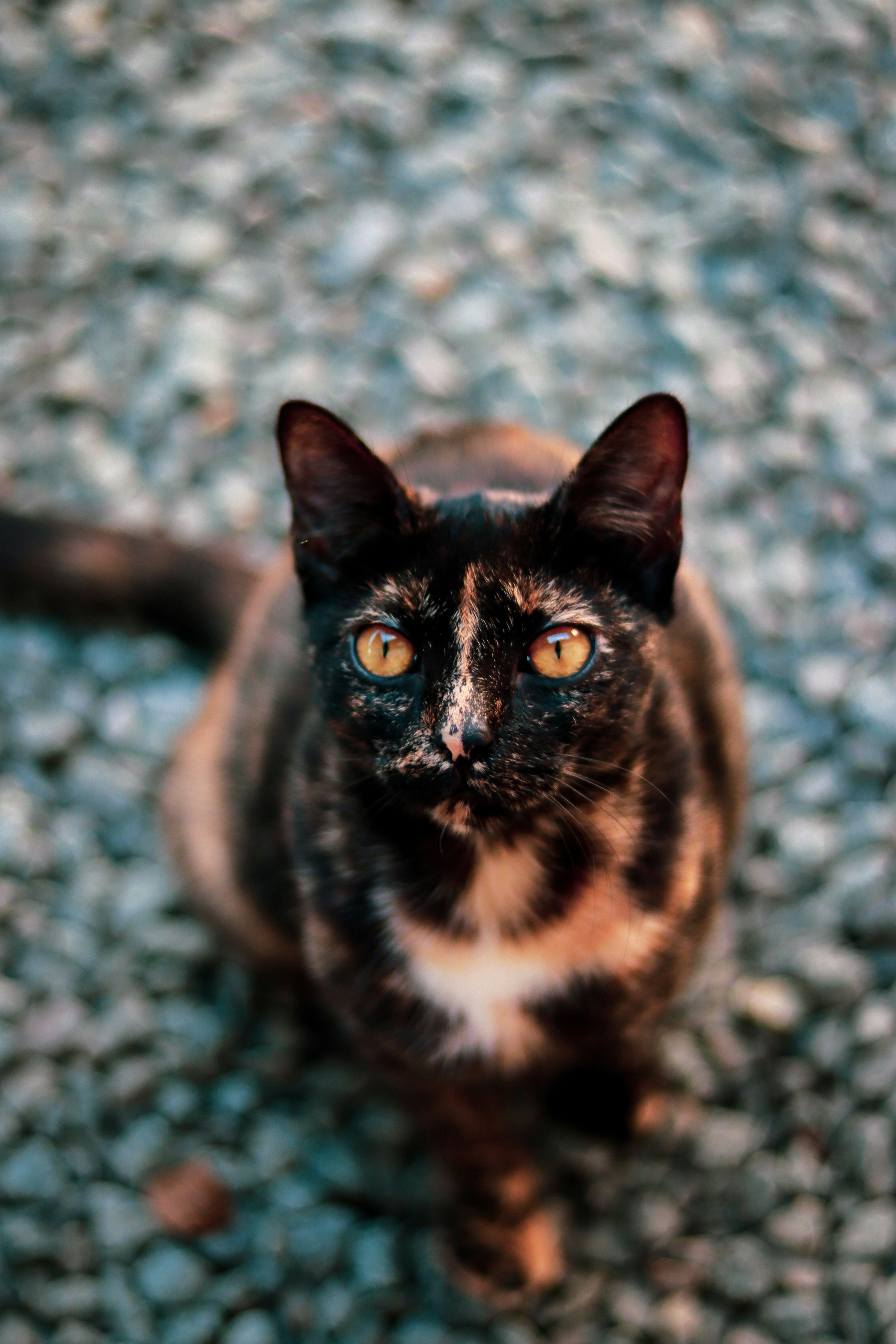 Photo by gabrielfotos