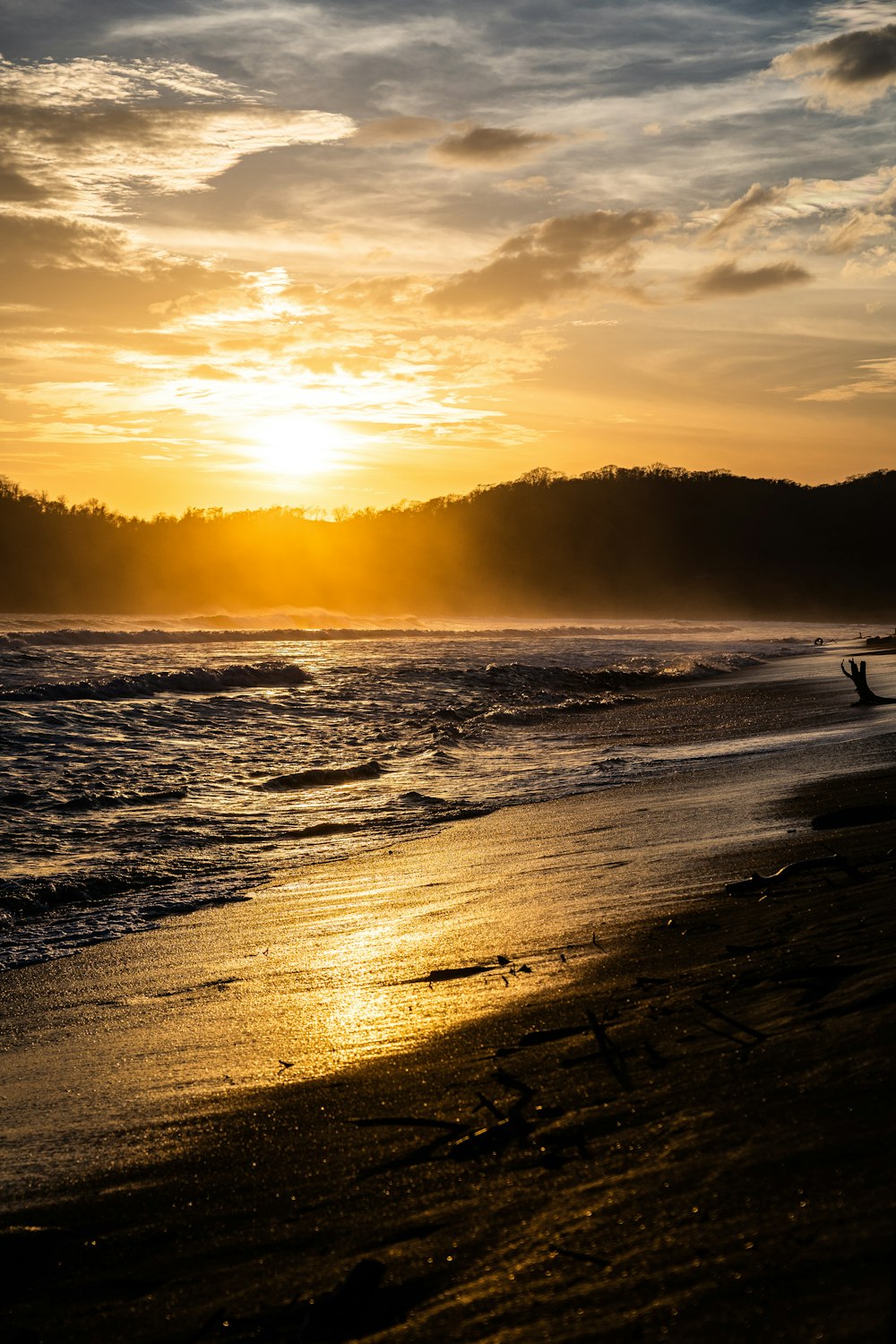 silhouette of person standing on seashore during sunset