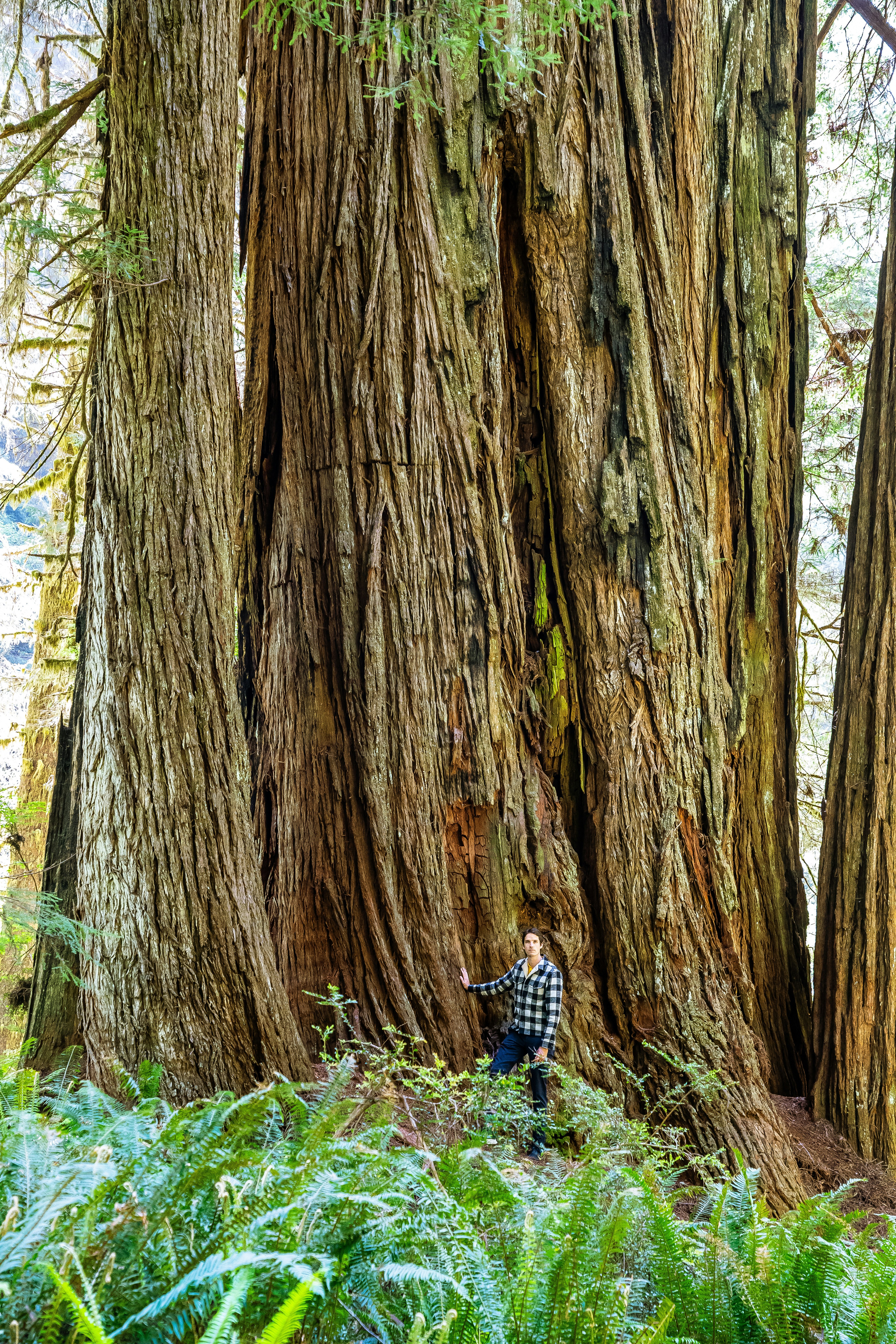 Photo by eelco_bohtlingk