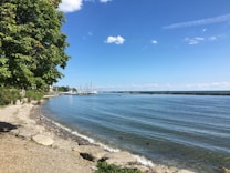 A serene lakeside view with clear blue skies and a few scattered clouds. The image captures a shoreline with pebbles and rocks in the foreground, bordered by lush green trees. Several sailboats are anchored near the distant harbor, and gentle ripples can be seen on the water's surface.