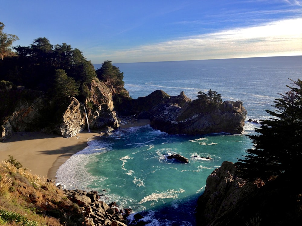 green trees on brown rocky shore during daytime