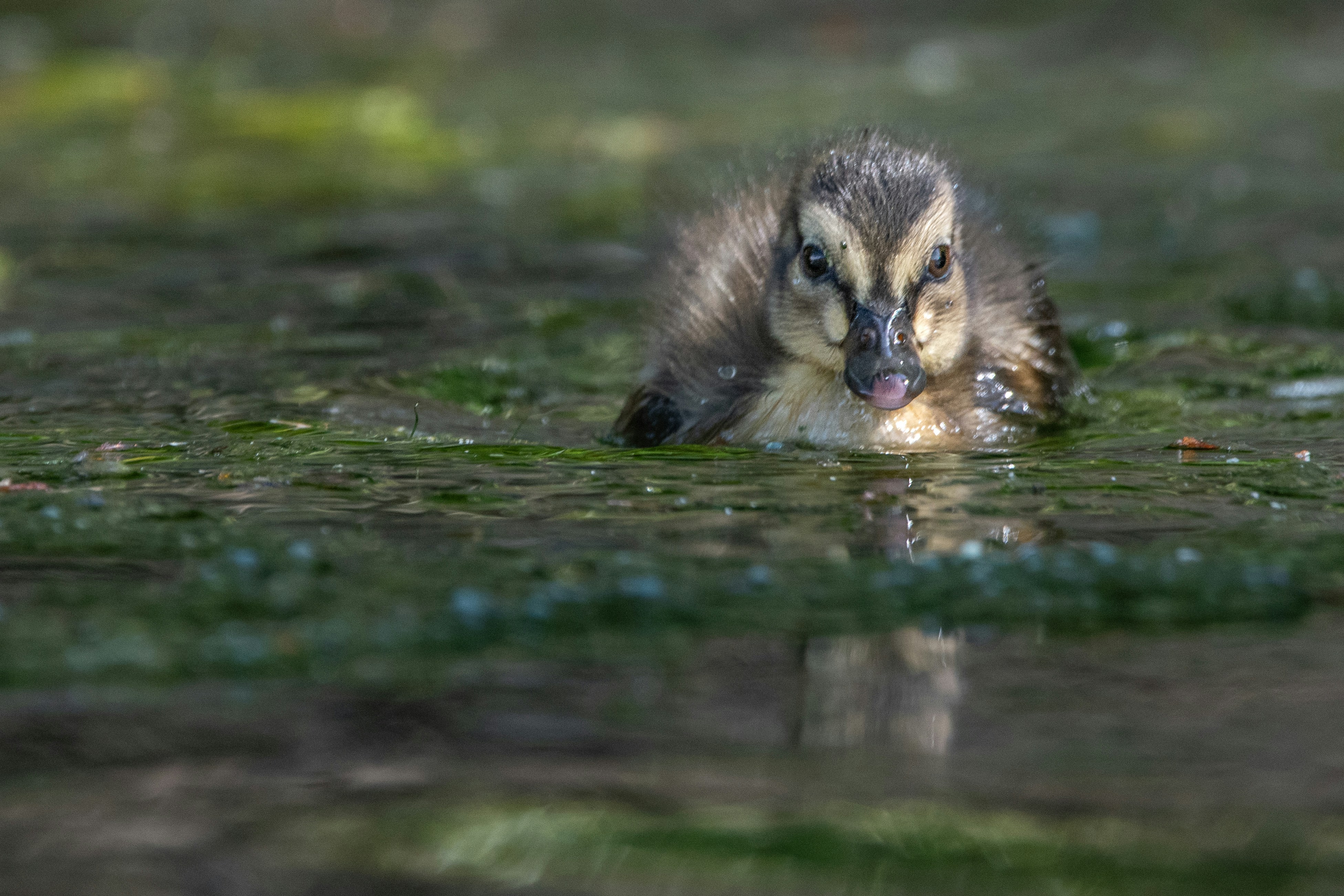 Photo by elisastonephotography