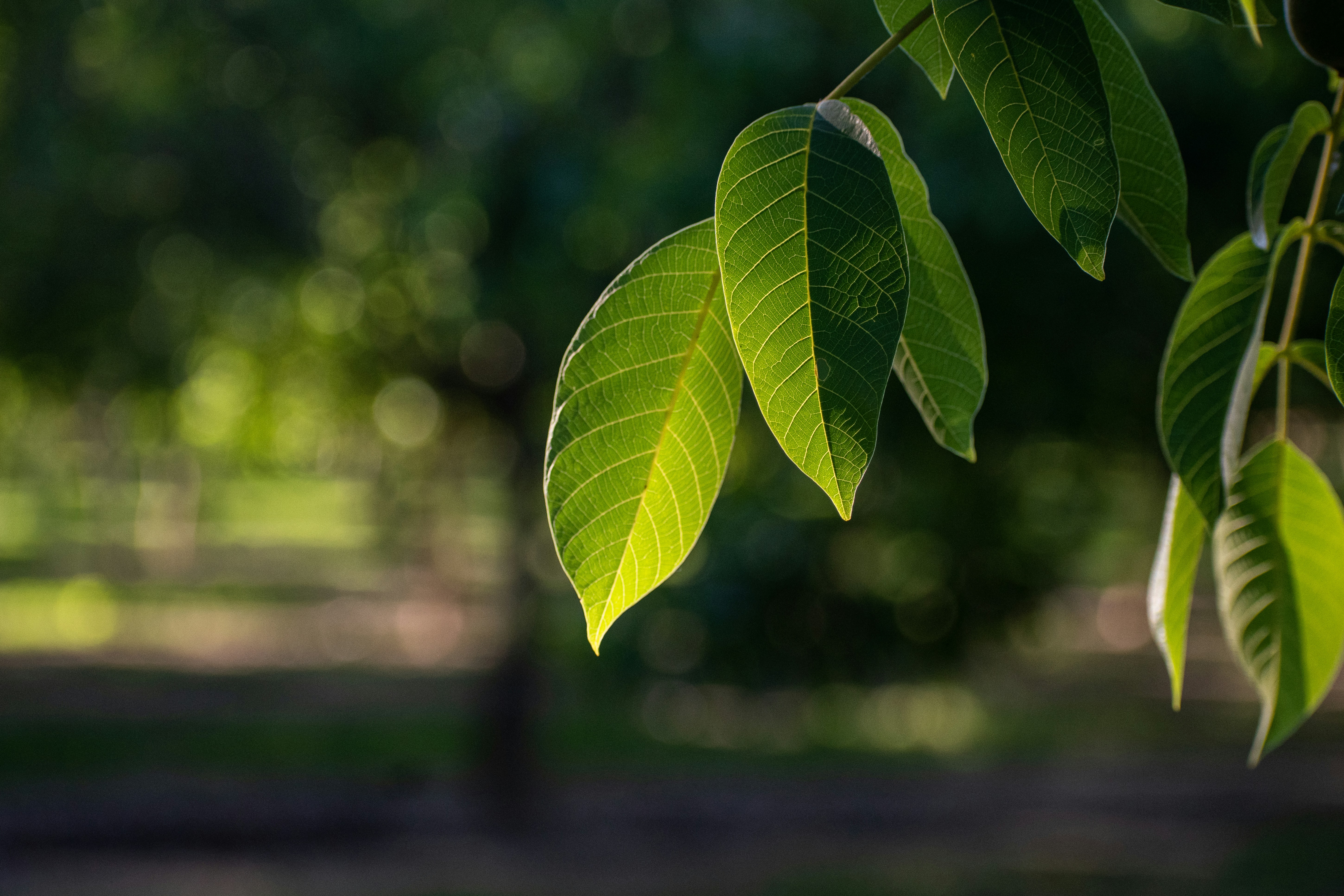 Photo by elisastonephotography