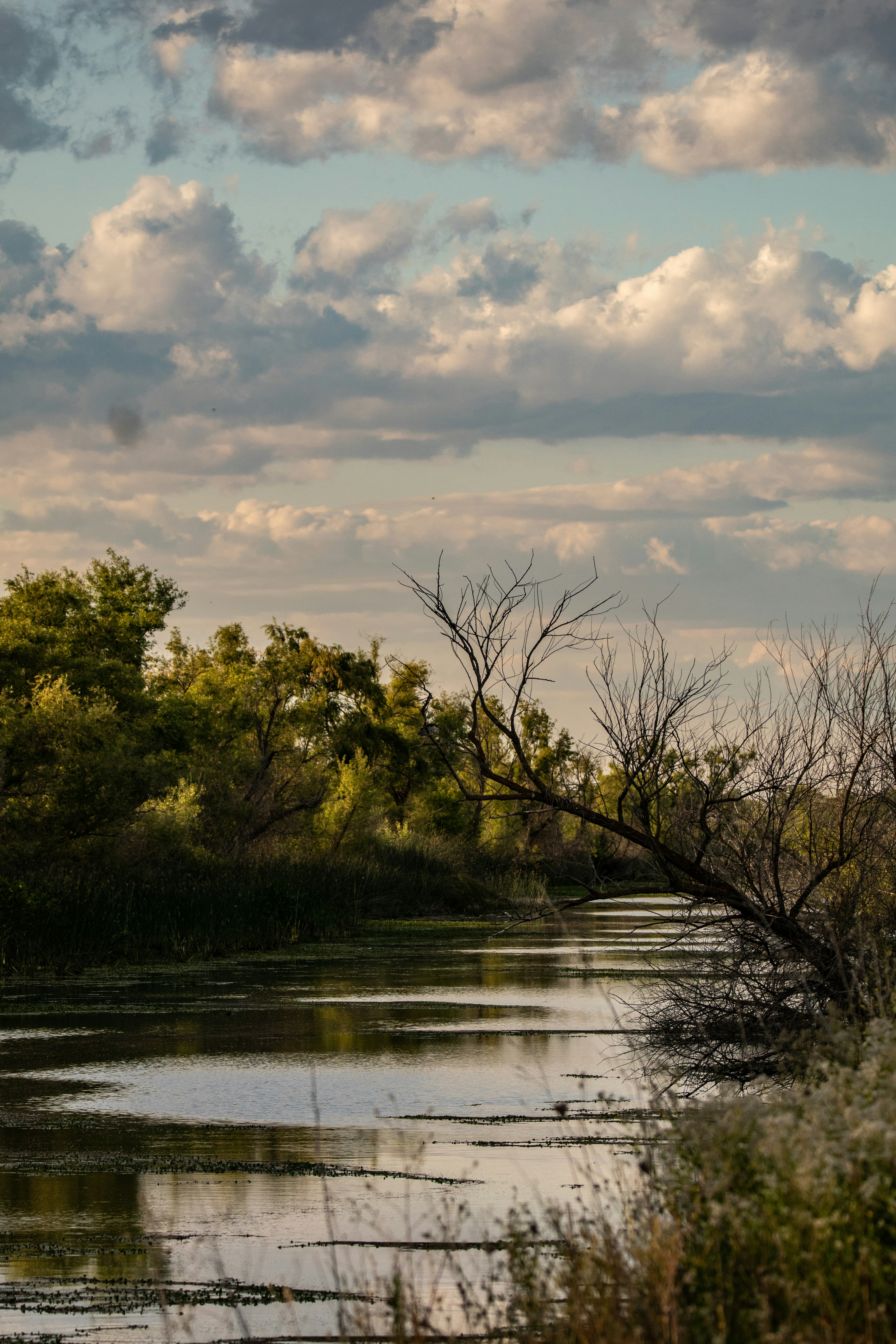 Photo by elisastonephotography