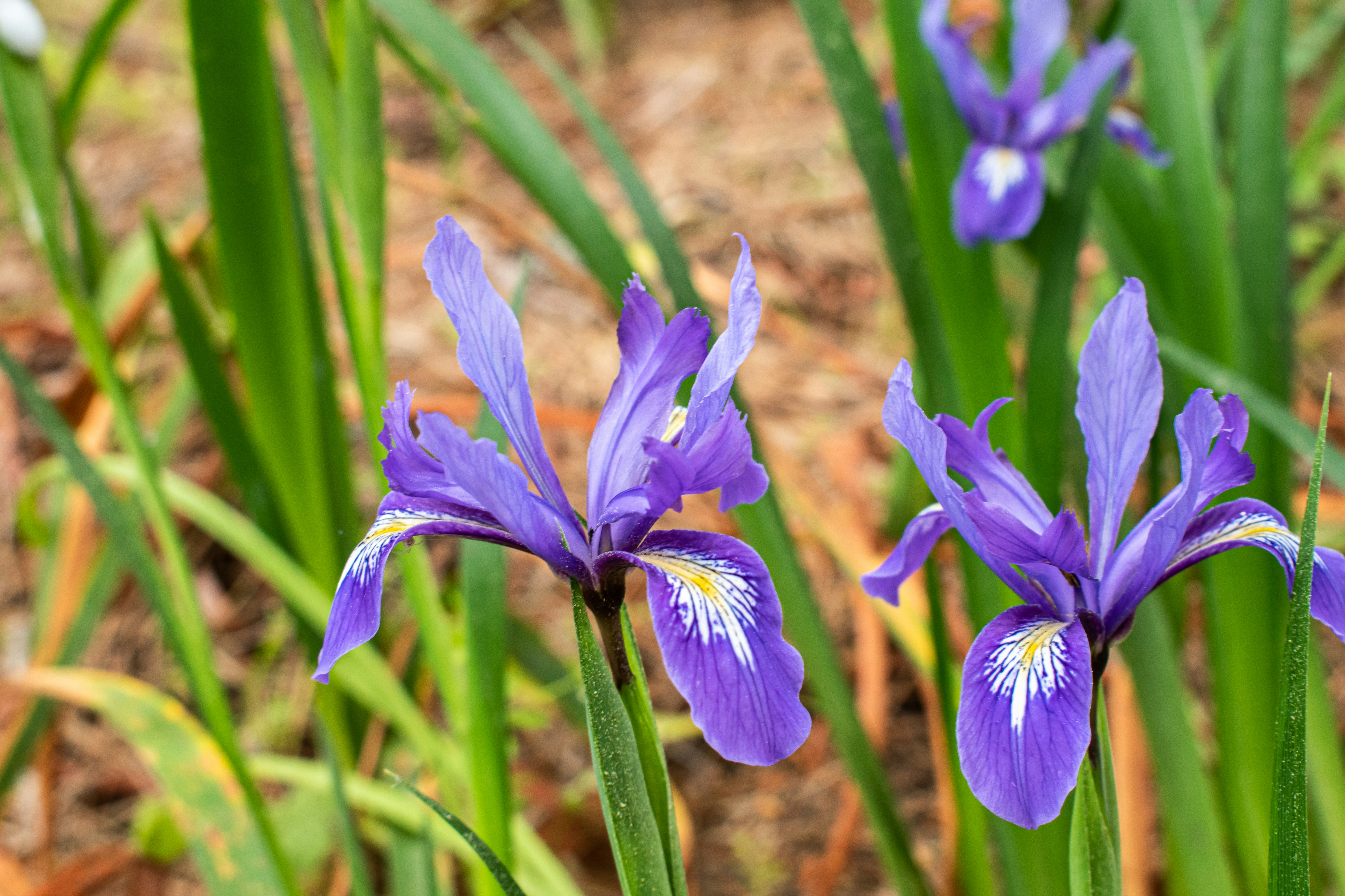 Photo by elisastonephotography