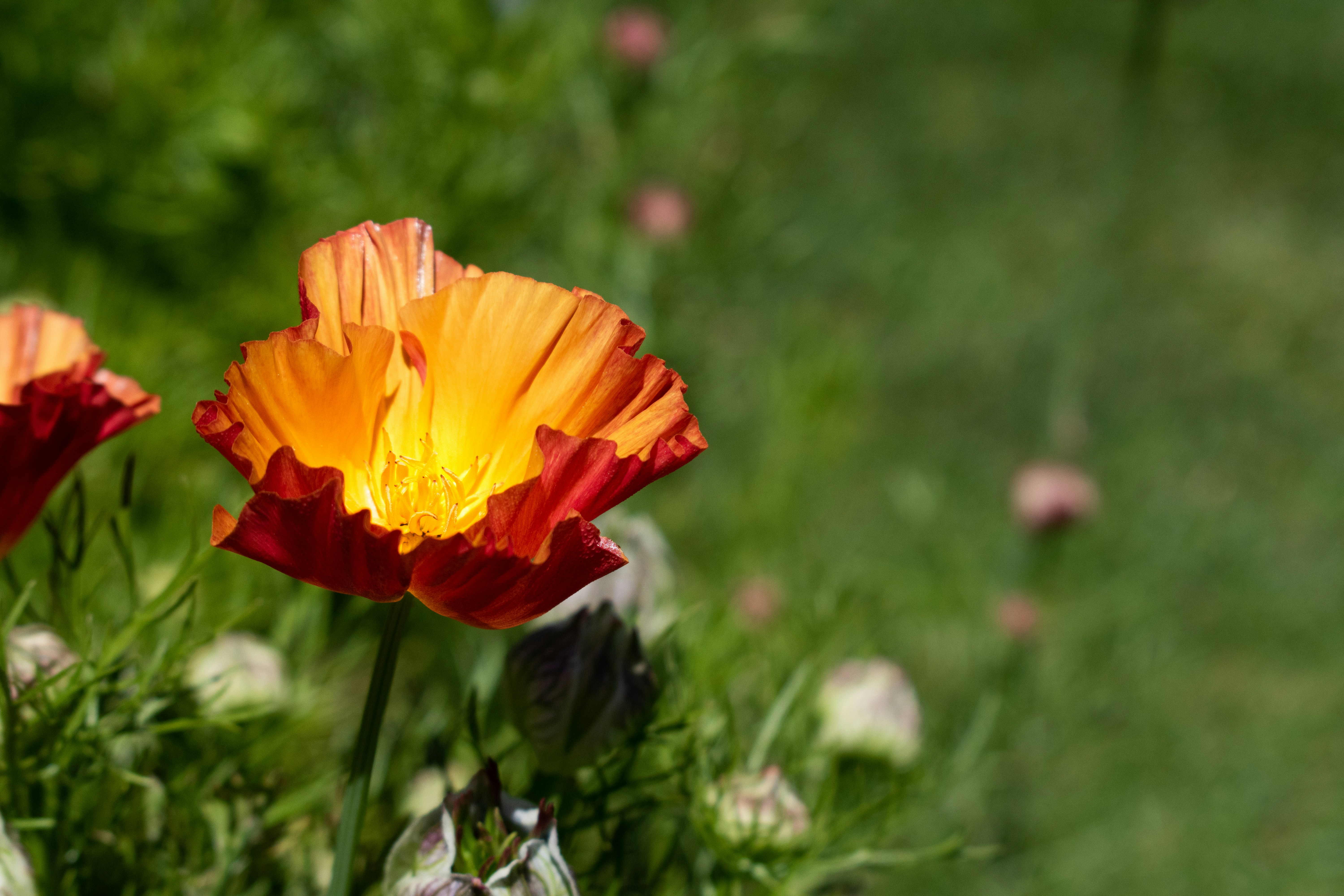 Photo by elisastonephotography