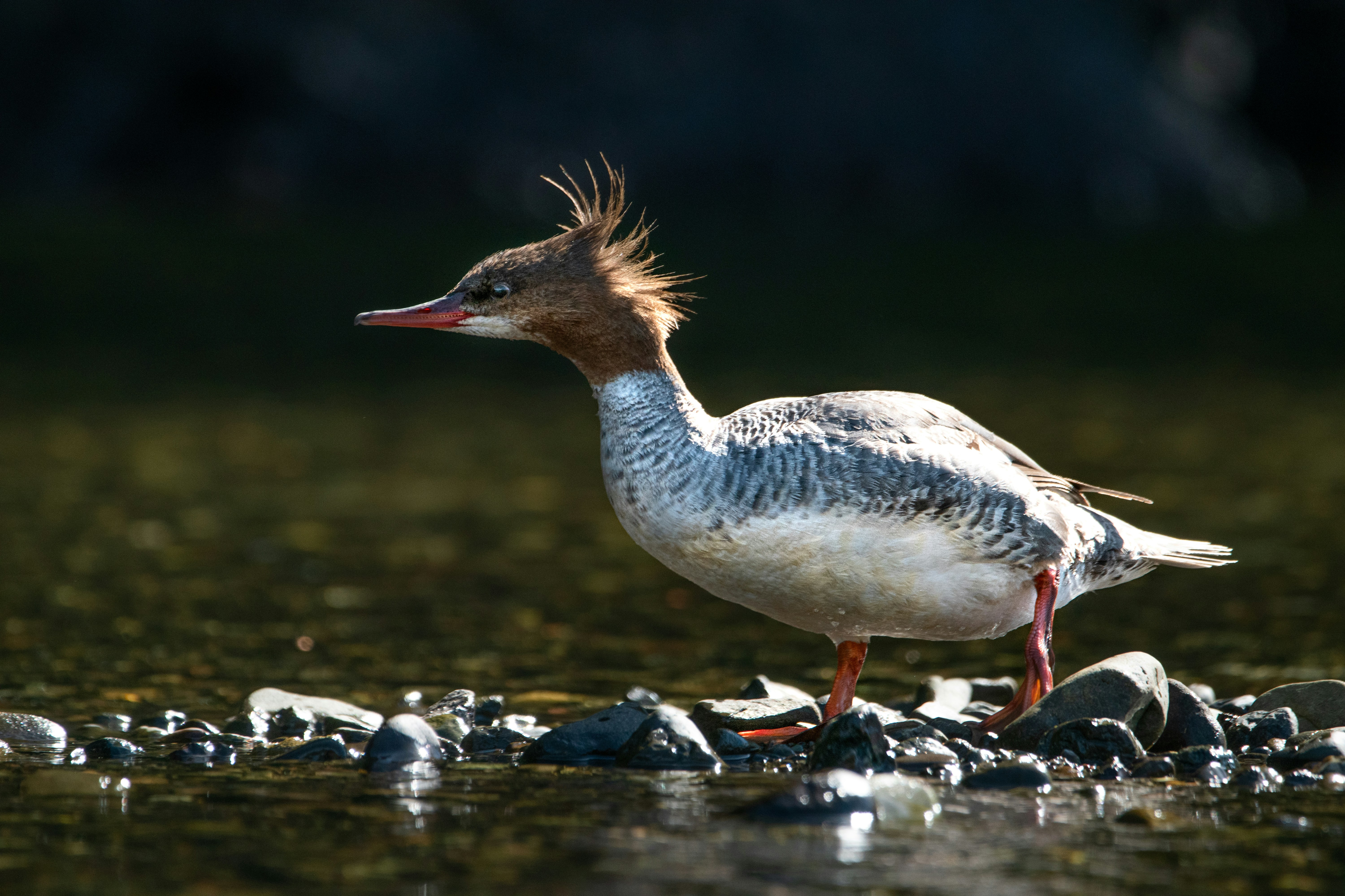 Photo by elisastonephotography