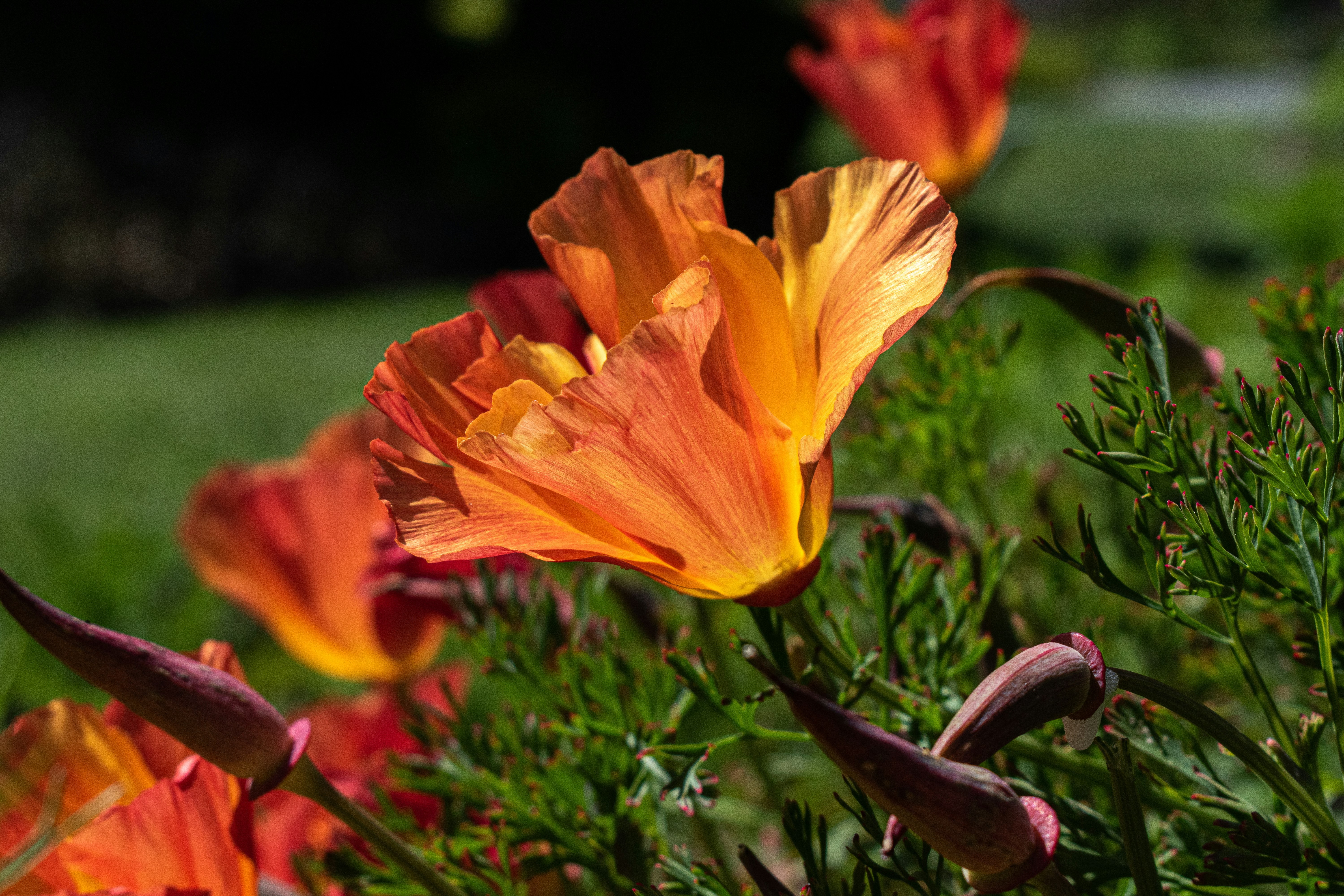 Photo by elisastonephotography