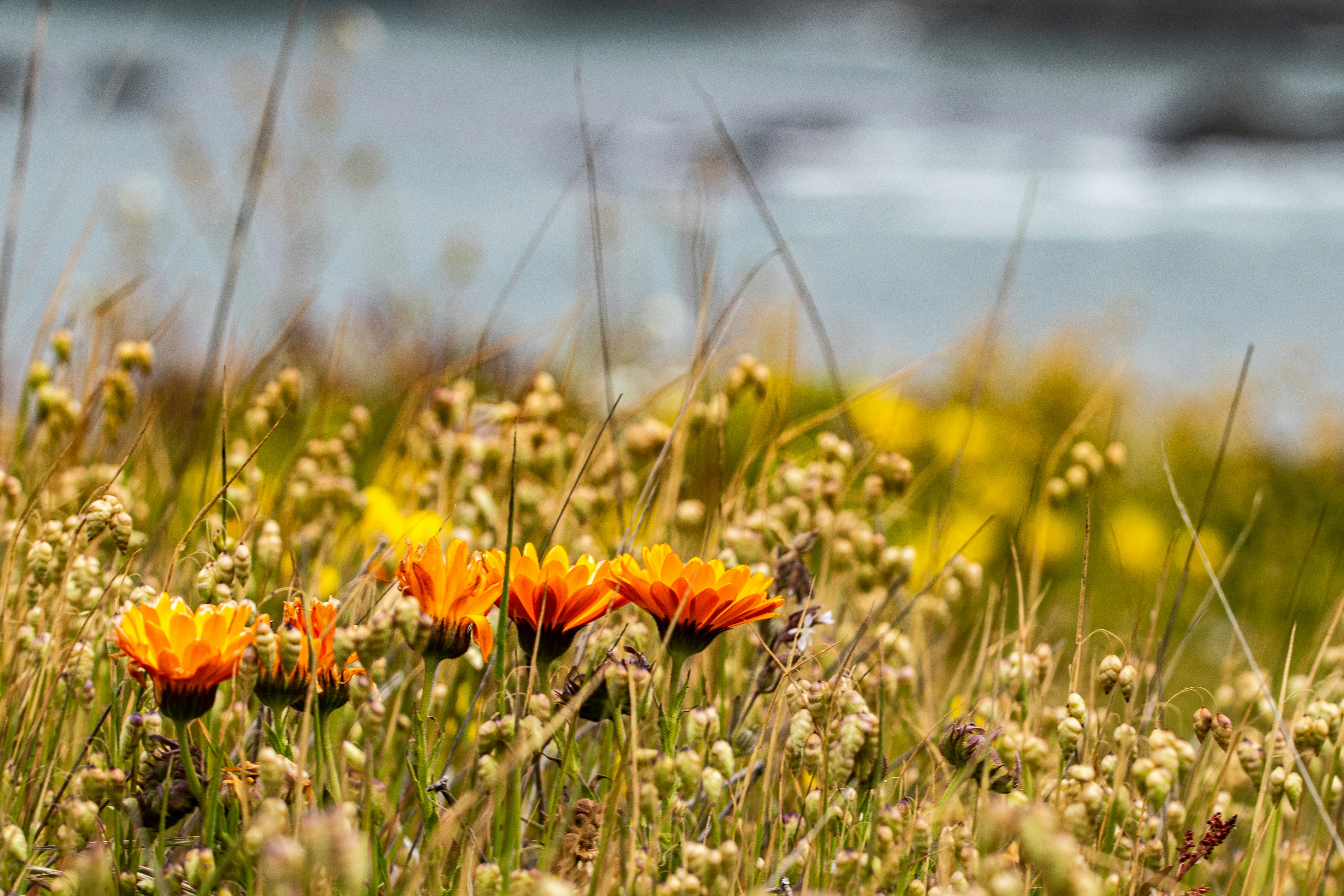 Photo by elisastonephotography