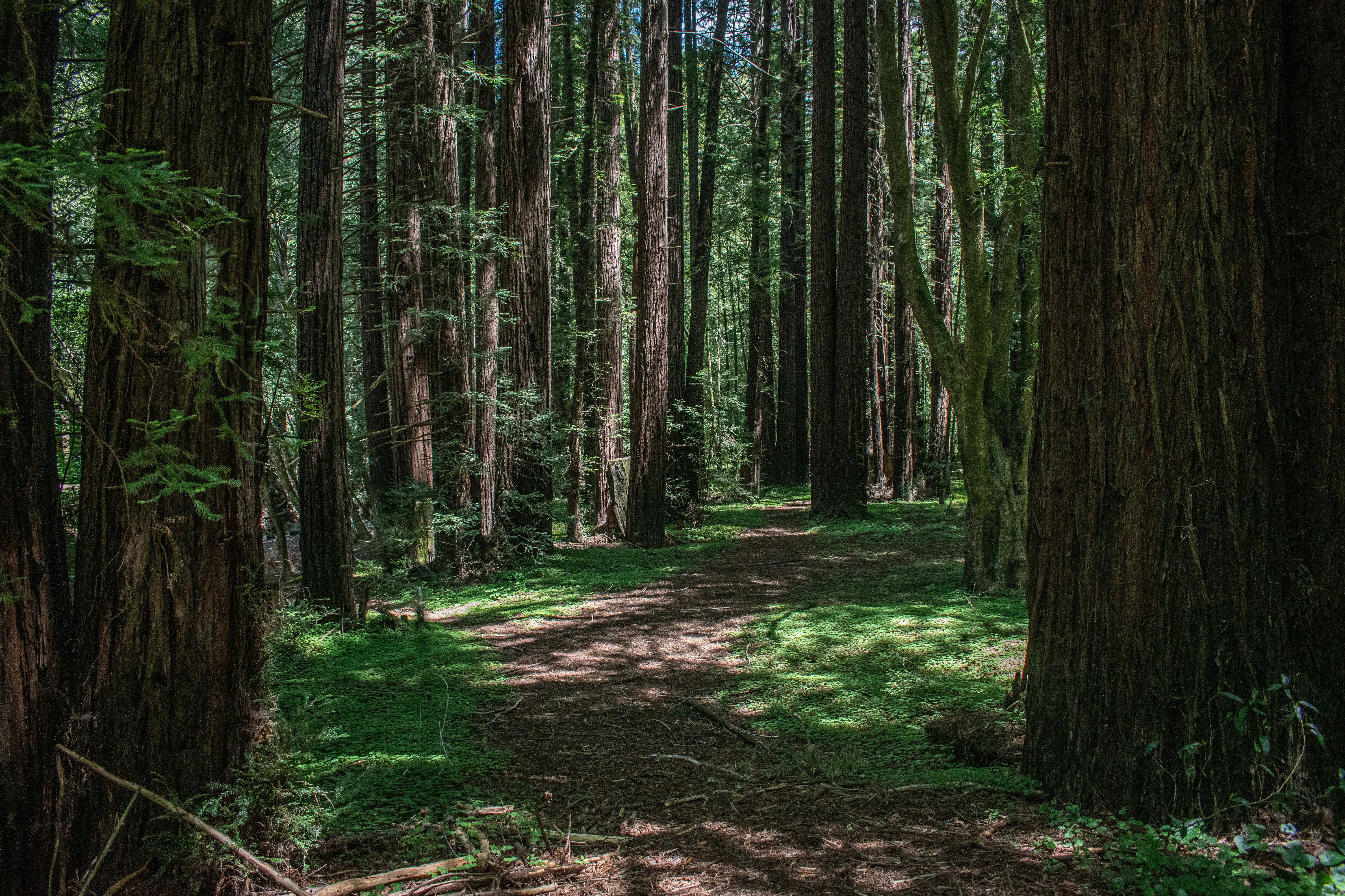 Photo by elisastonephotography