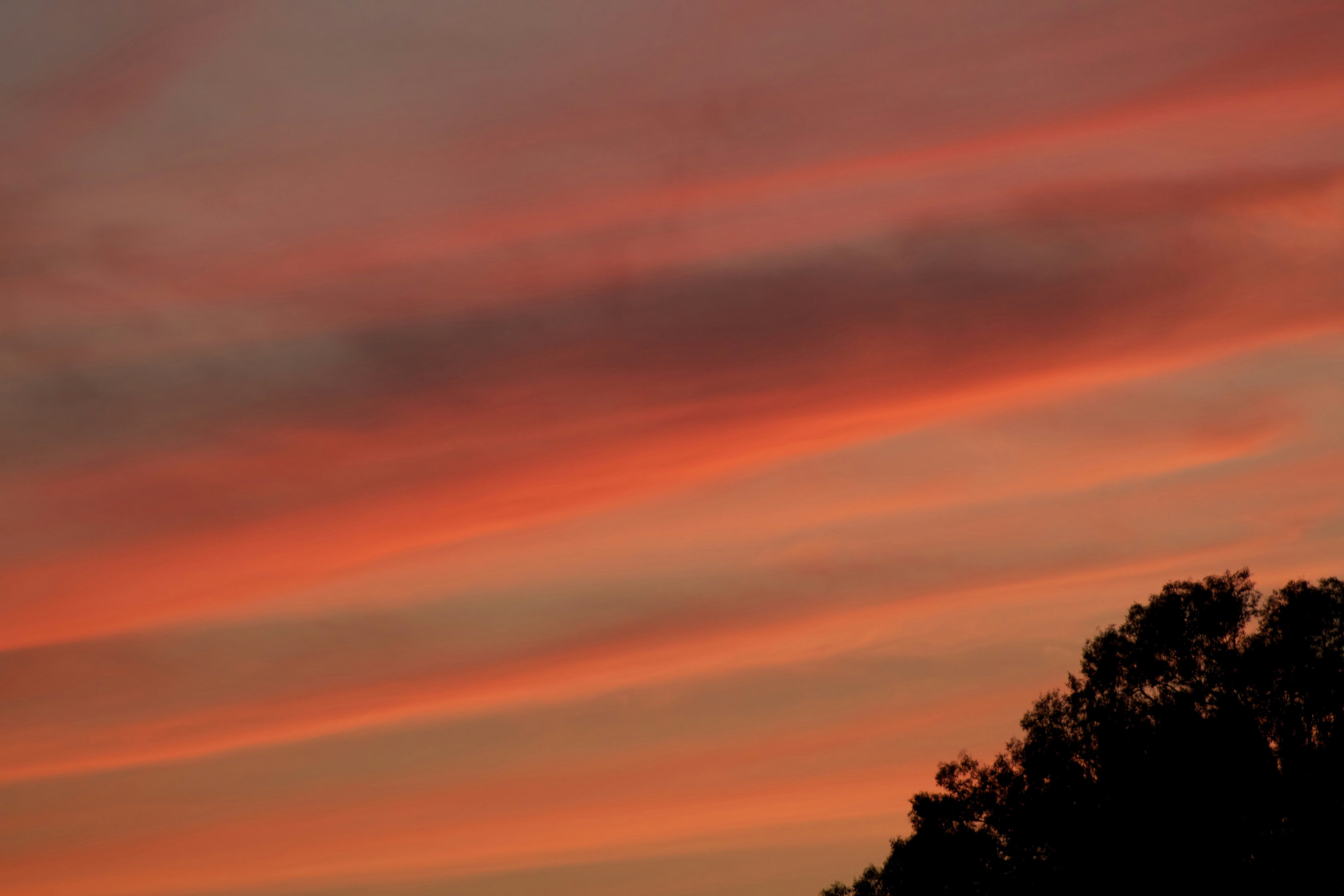 Photo by picsbyjameslee