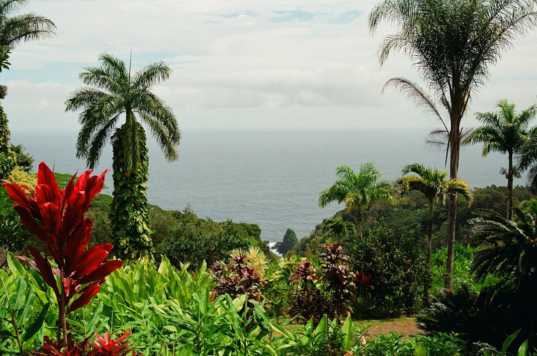 green and red plants near body of water during daytime