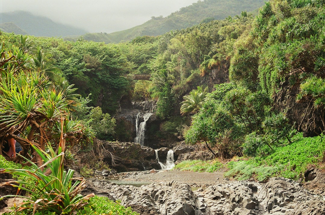 7 Hidden Gems Along Maui's Hana