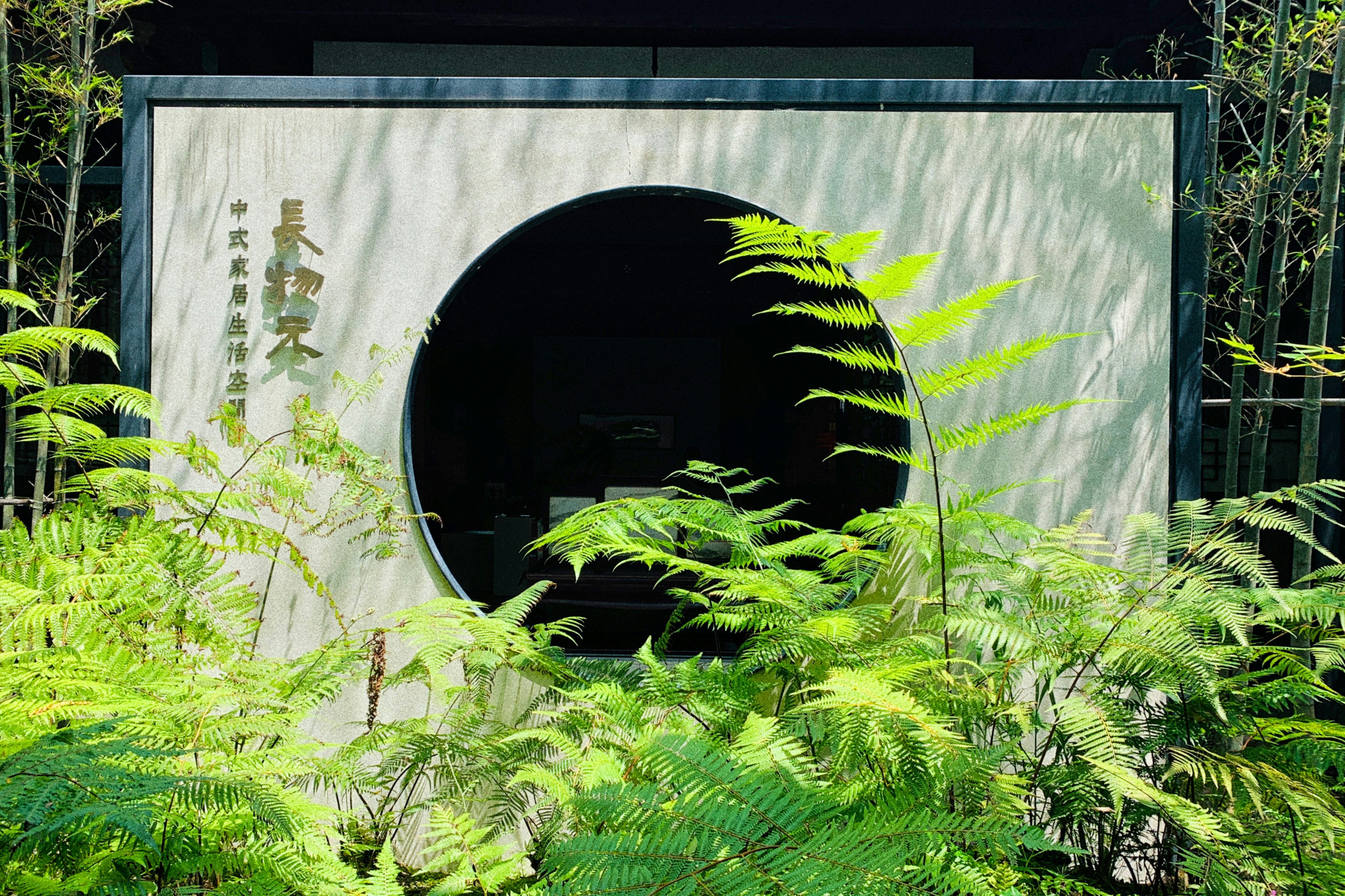 herbe verte près d’un mur blanc