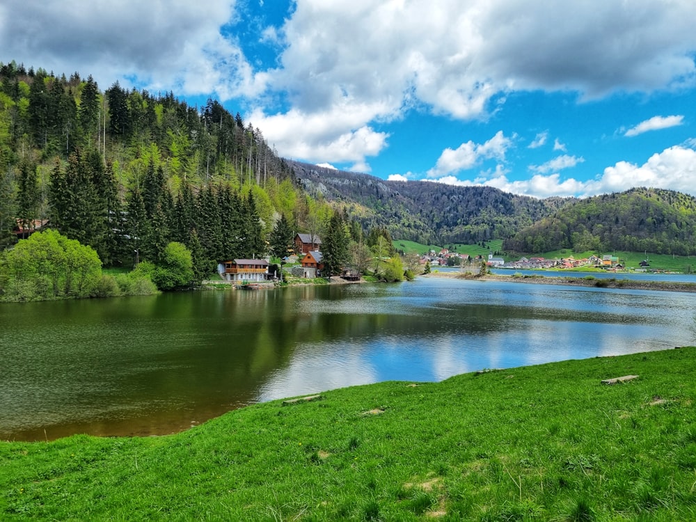 green trees beside lake under blue sky during daytime