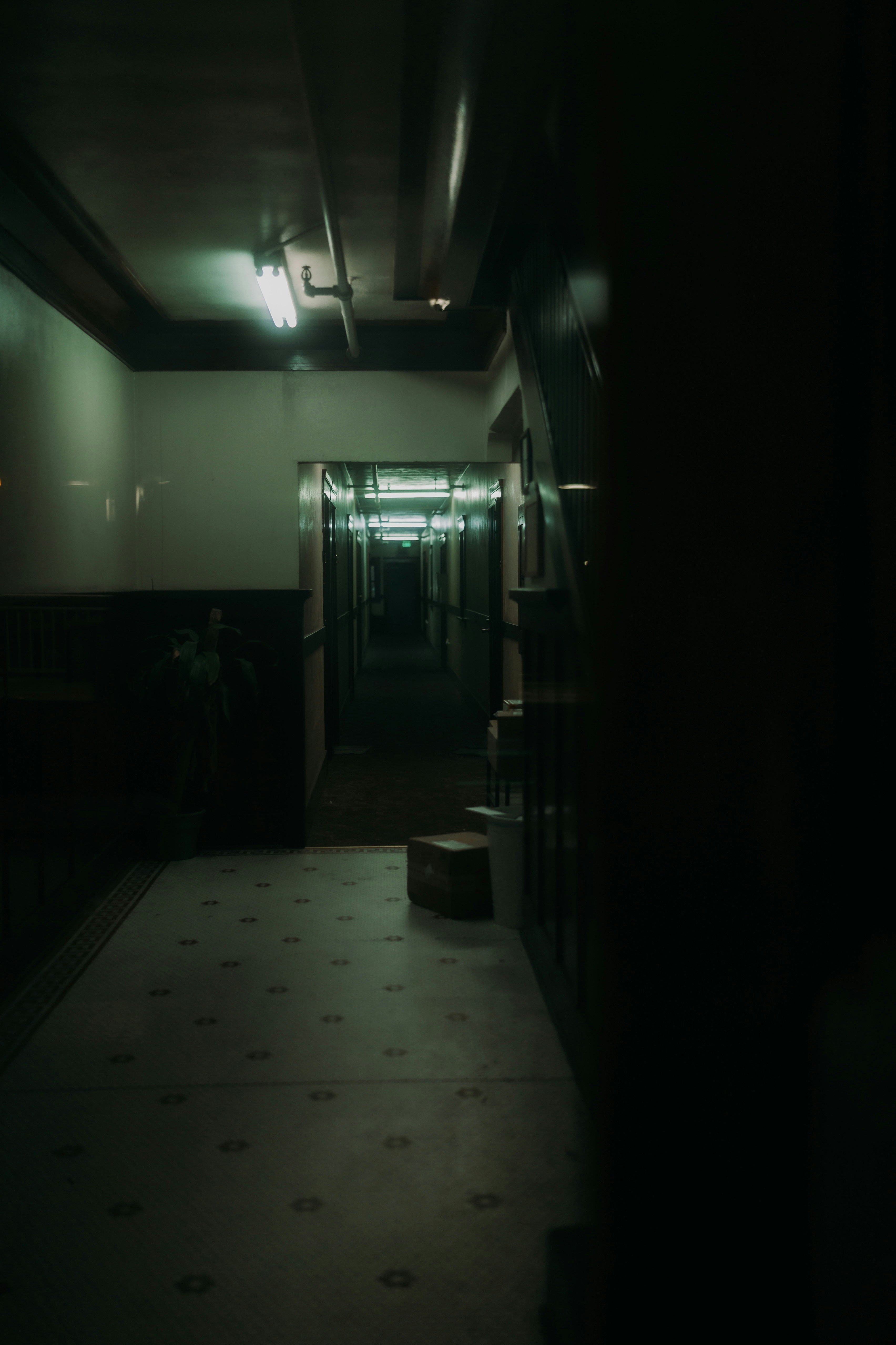 Photo by capturedbyjavi