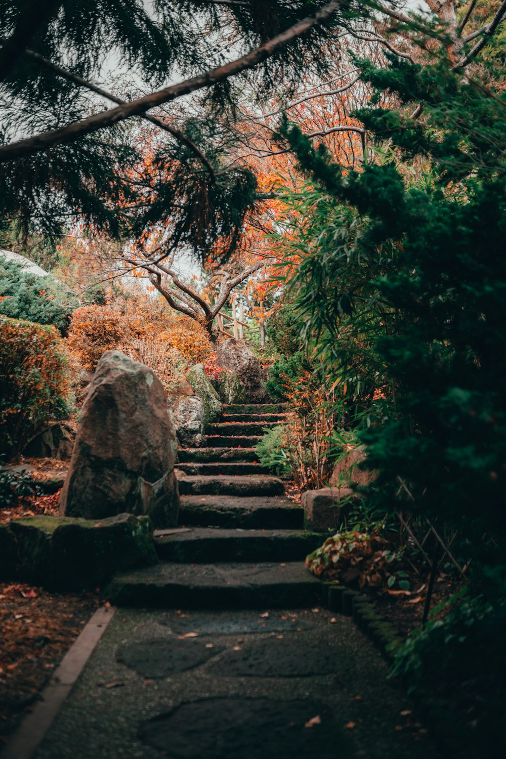 brown concrete stairs between trees during daytime