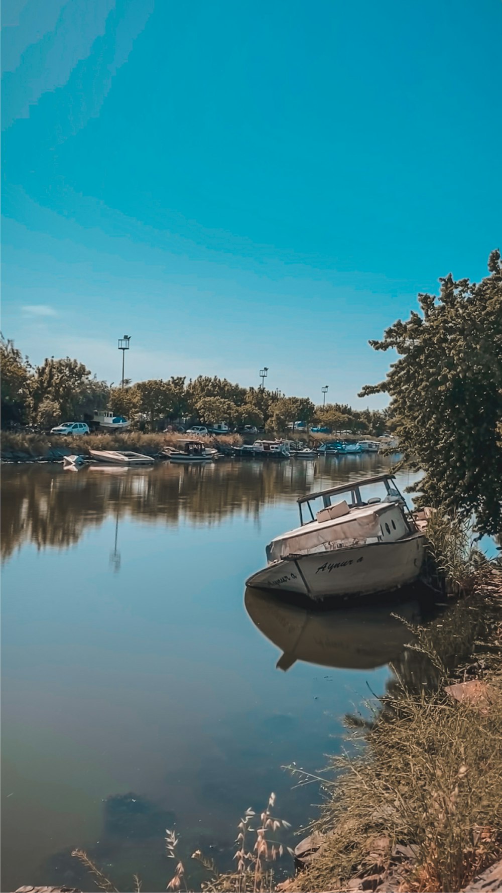 white and brown boat on river during daytime