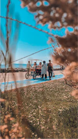 A group enjoying a sunny plant walk surrounded by green foliage and yellow wildflowers under a clear sky.