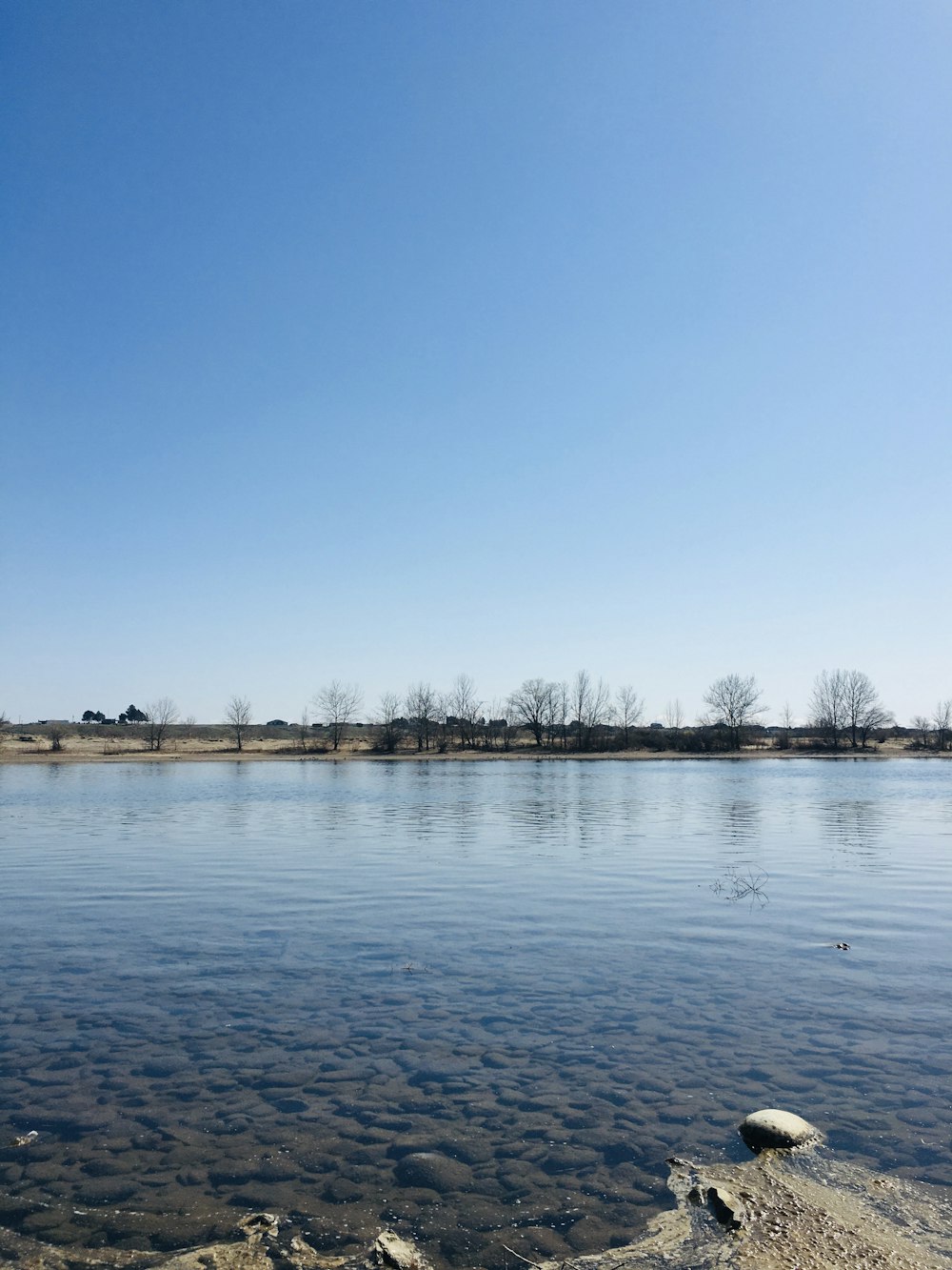 body of water near trees during daytime