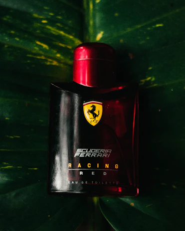 Elegant Scuderia Ferrari eyeglasses with red accents displayed on a sleek black background