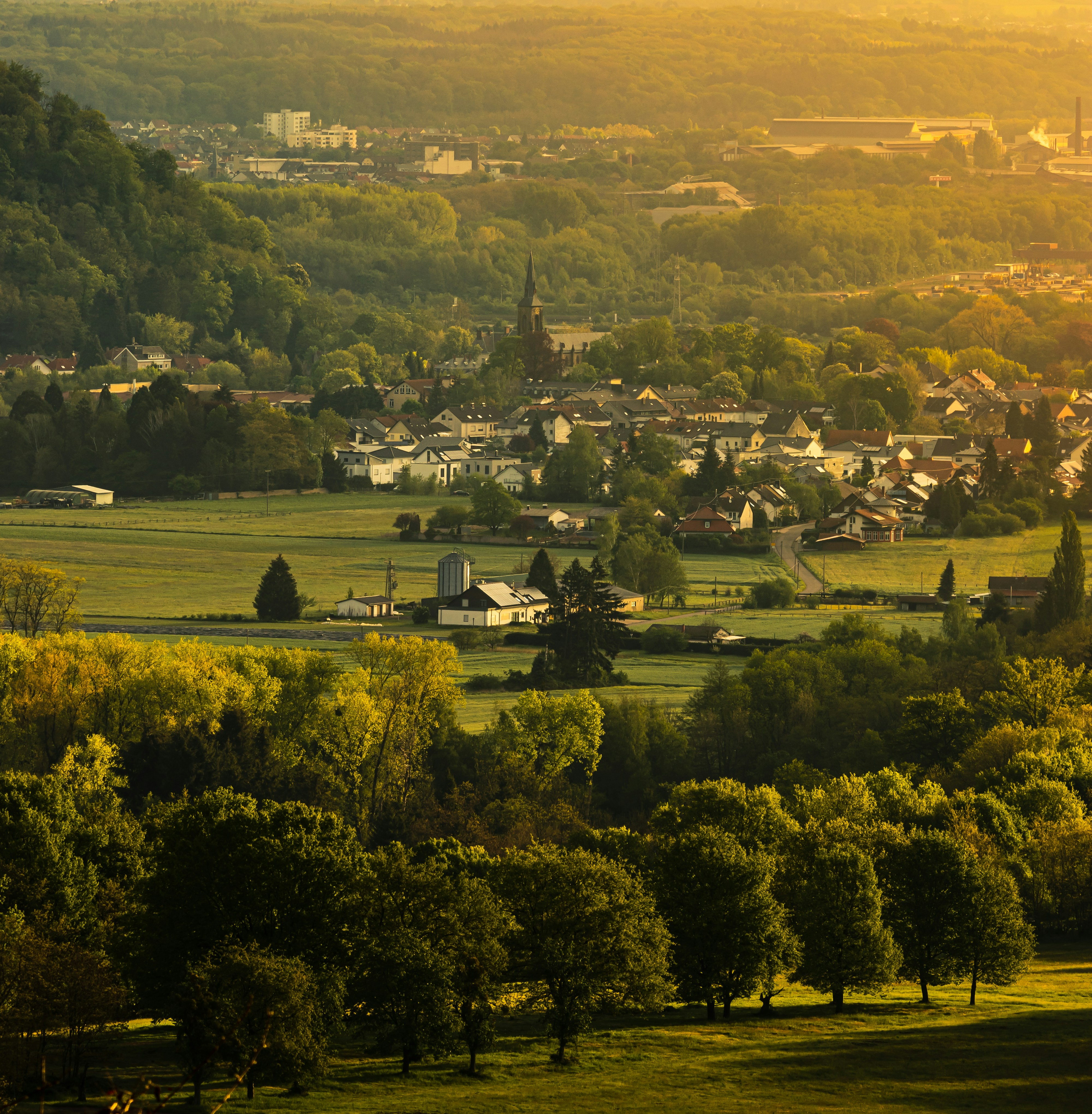 Photo by rohanification