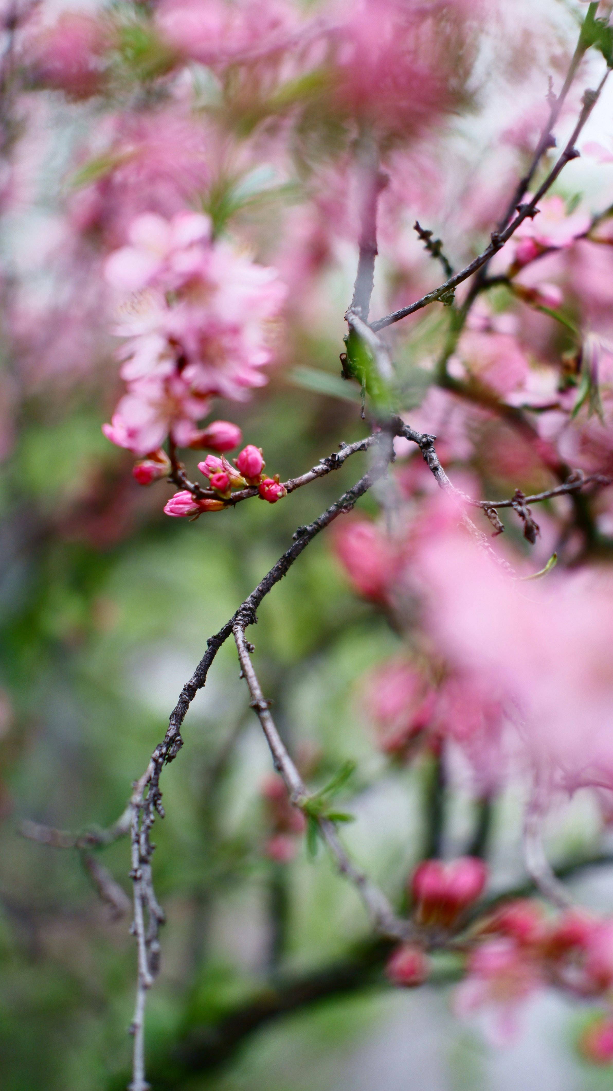 Photo by mary_borysova