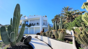 Exterior view of Swift Dental Care Phoenix building surrounded by desert plants under a clear blue sky