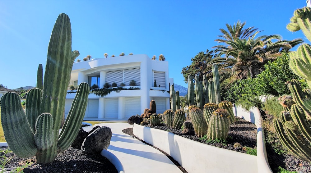 Edificio de hormigón blanco cerca de árboles verdes durante el día