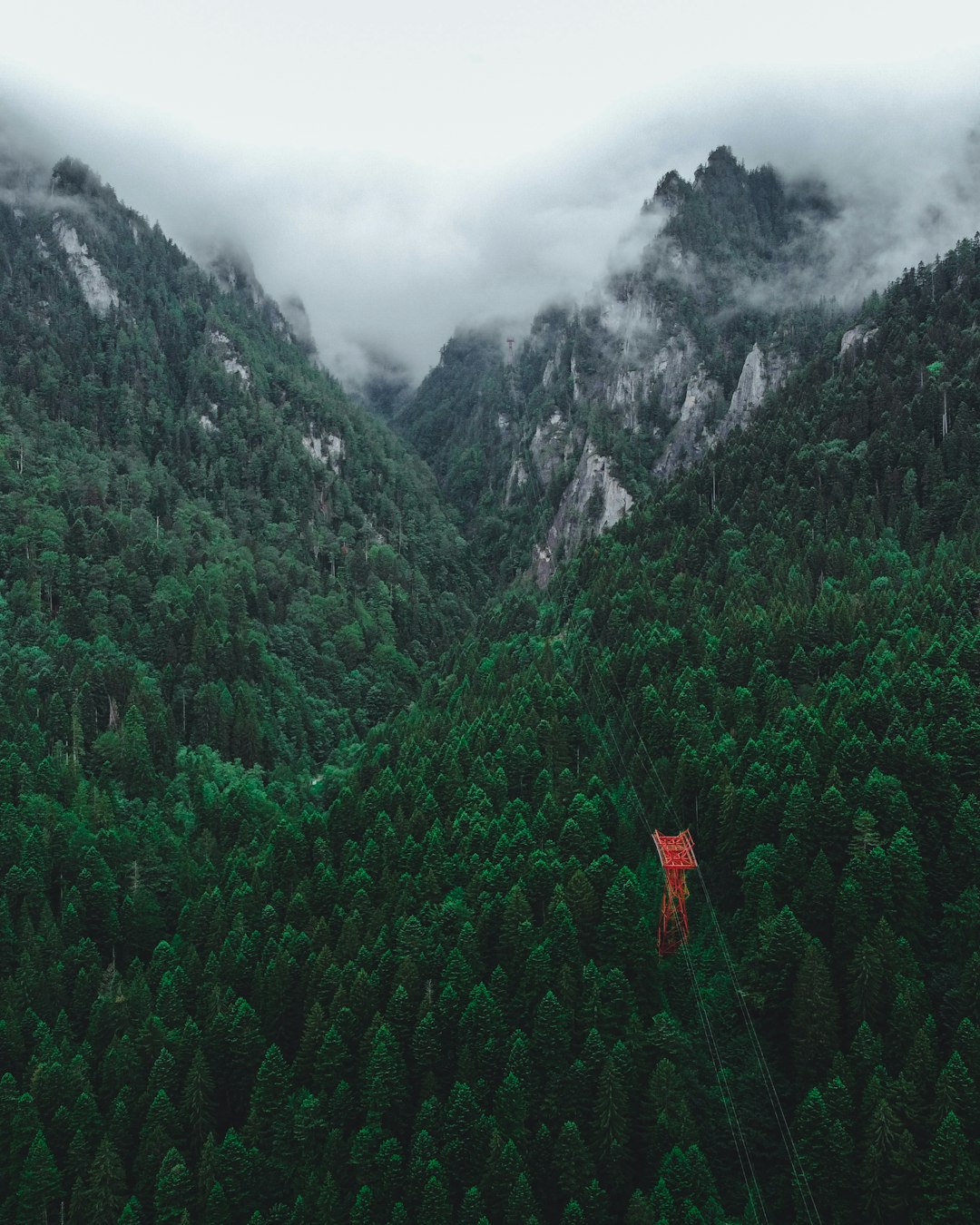 green trees on mountain under cloudy sky during daytime