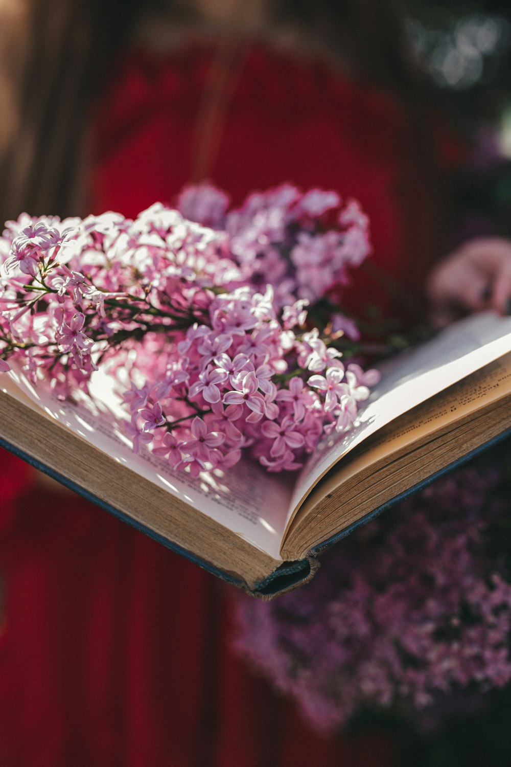 pink flowers on brown book