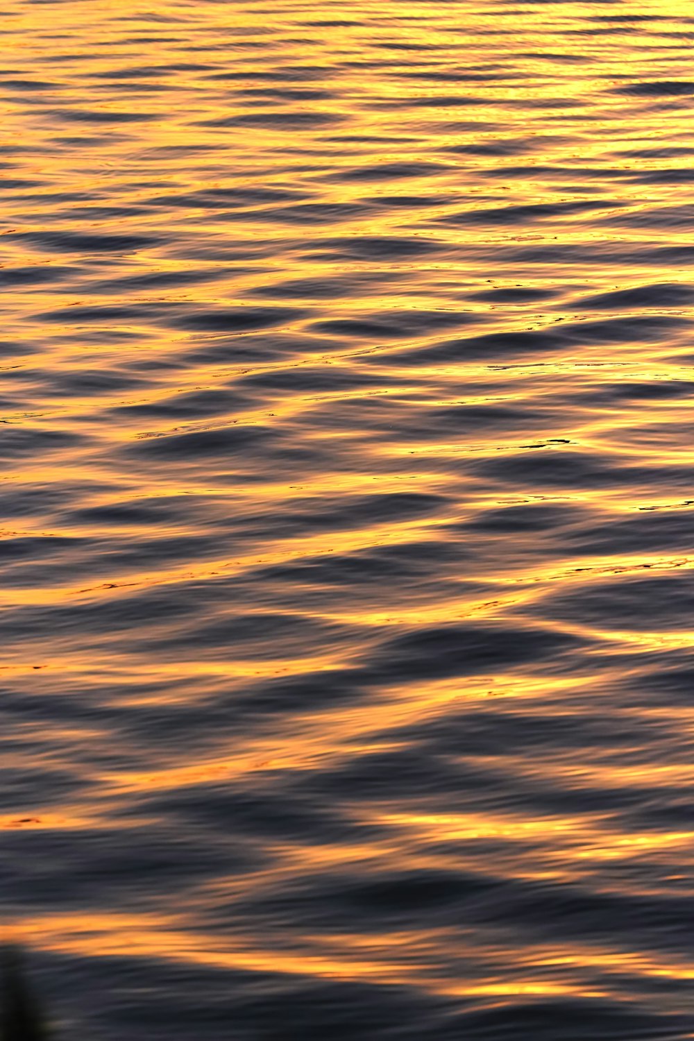 body of water during daytime