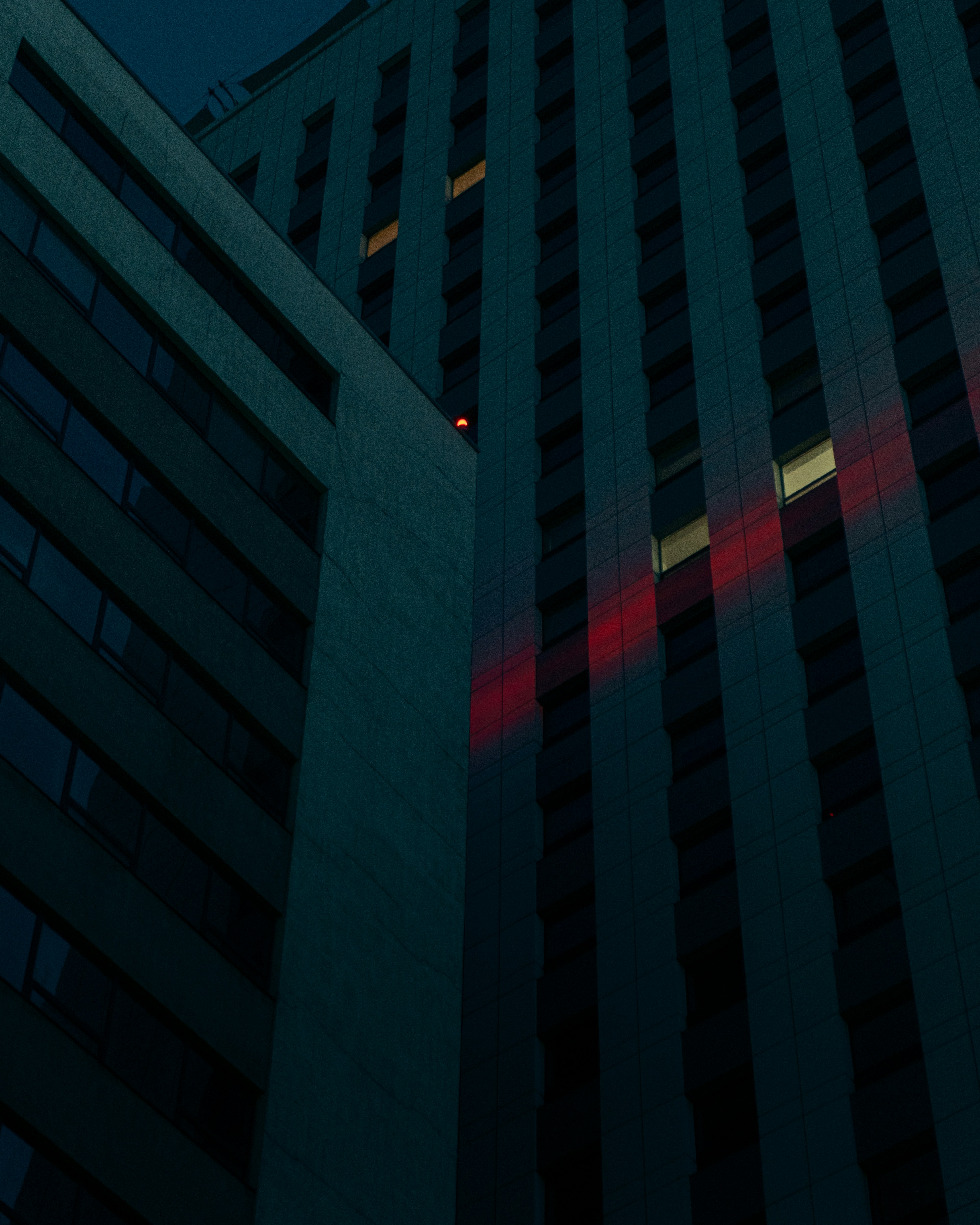 Photo by naranbayar_1