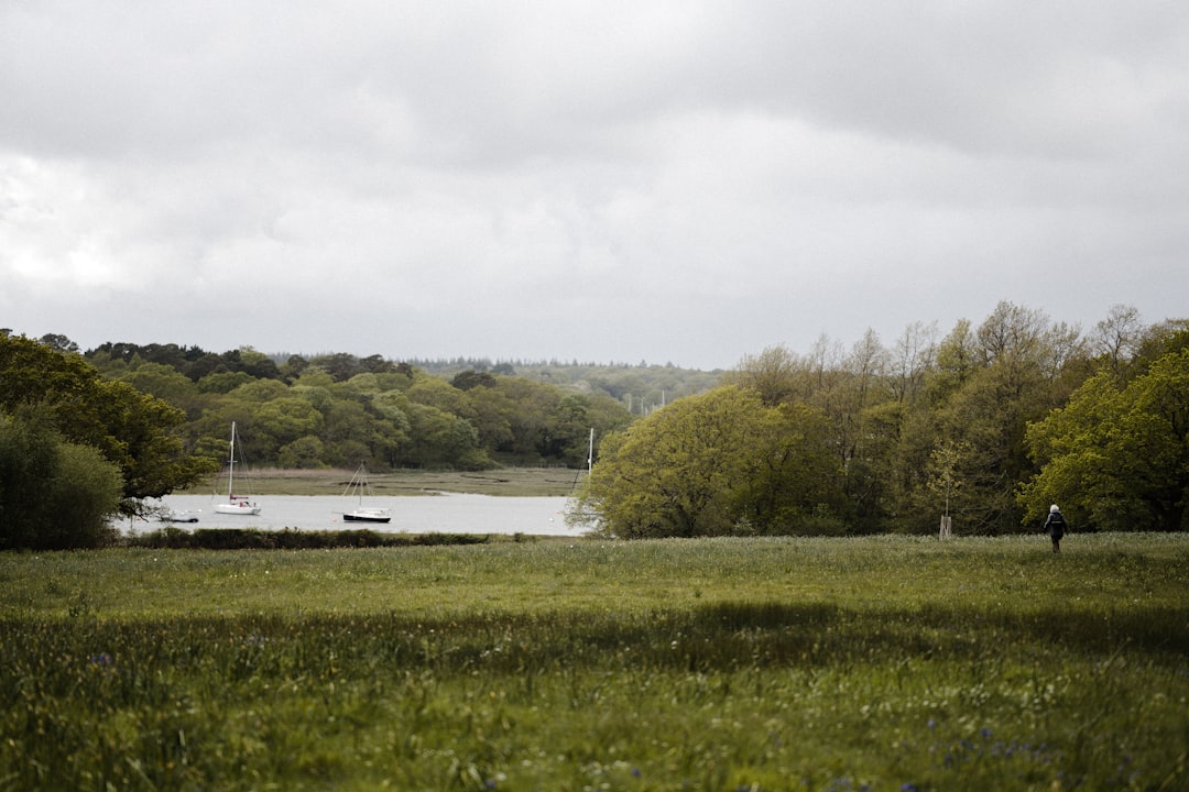 green grass field near body of water during daytime