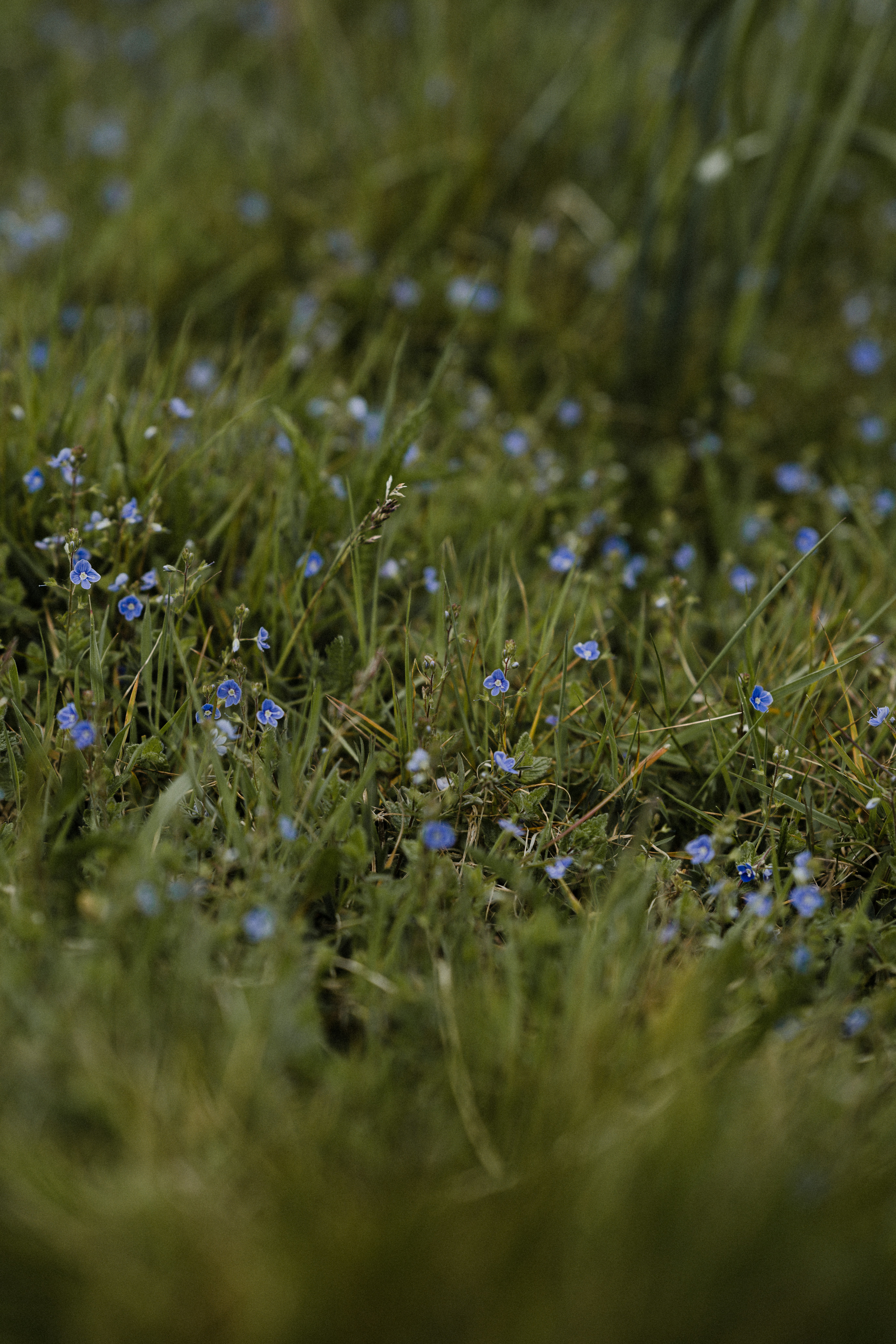 Photo by anniespratt