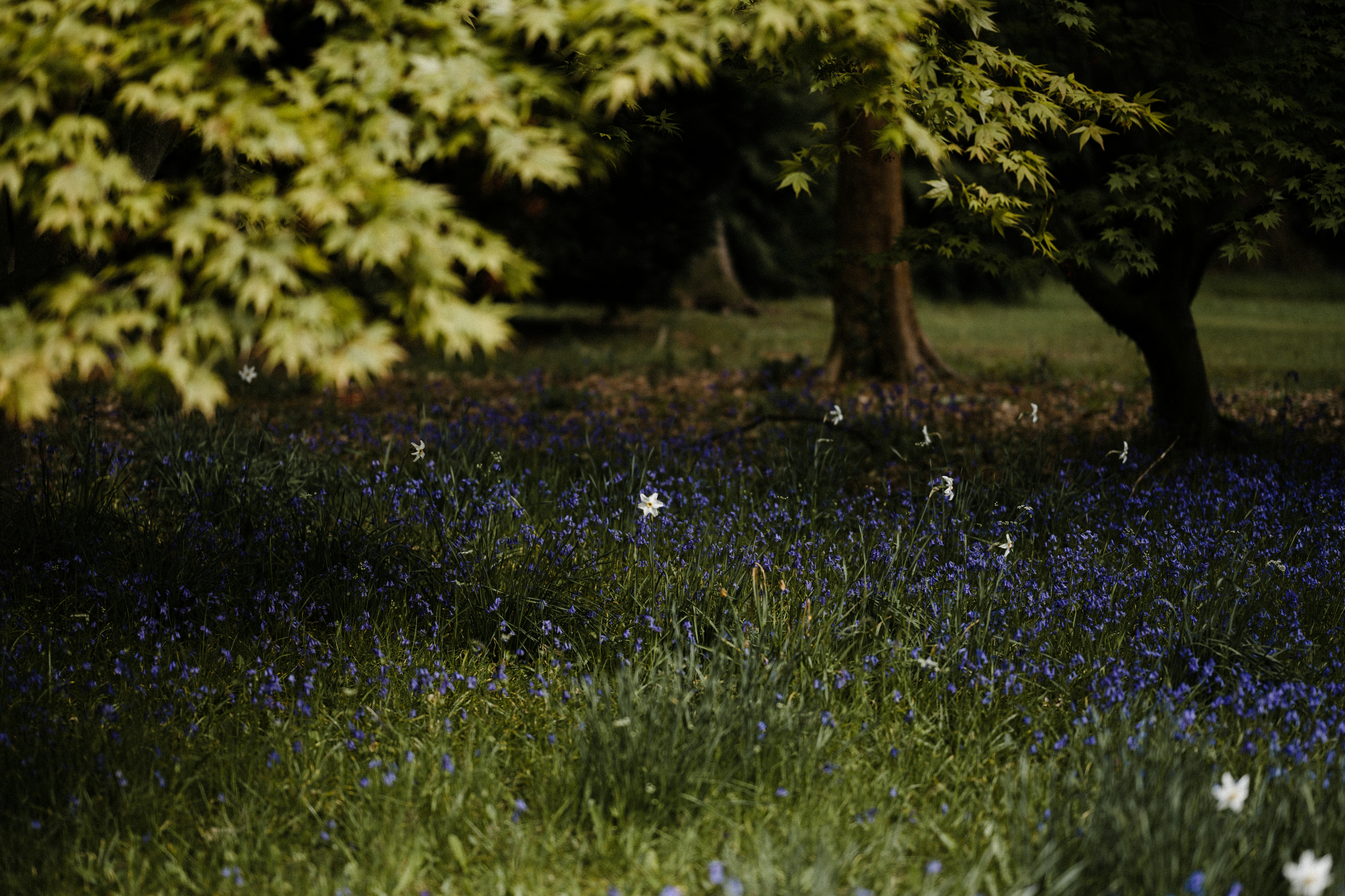 Photo by anniespratt