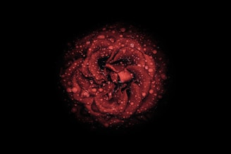 red and black floral illustration