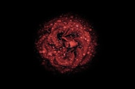 red and black floral illustration