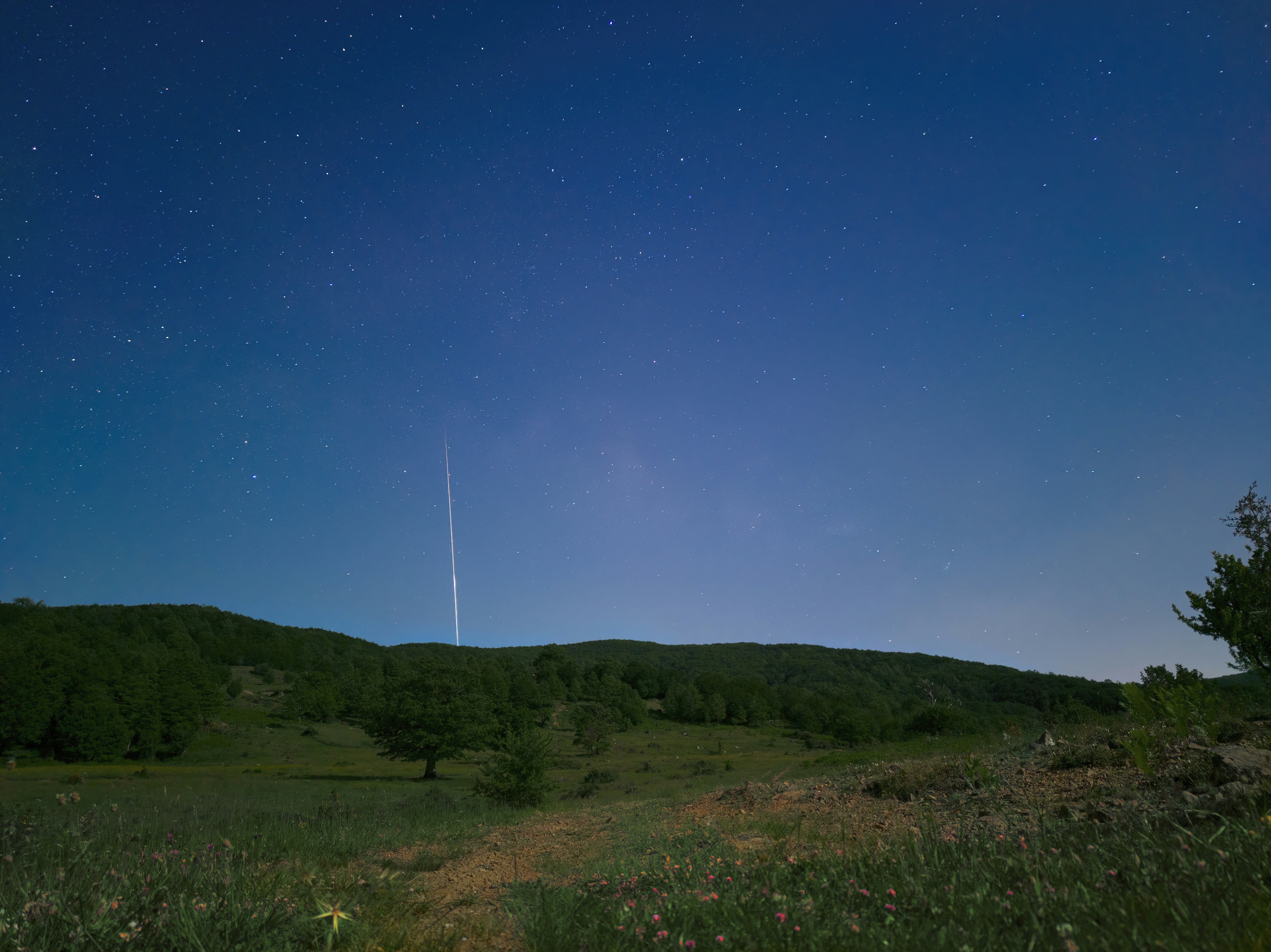green grass field under blue sky during daytime