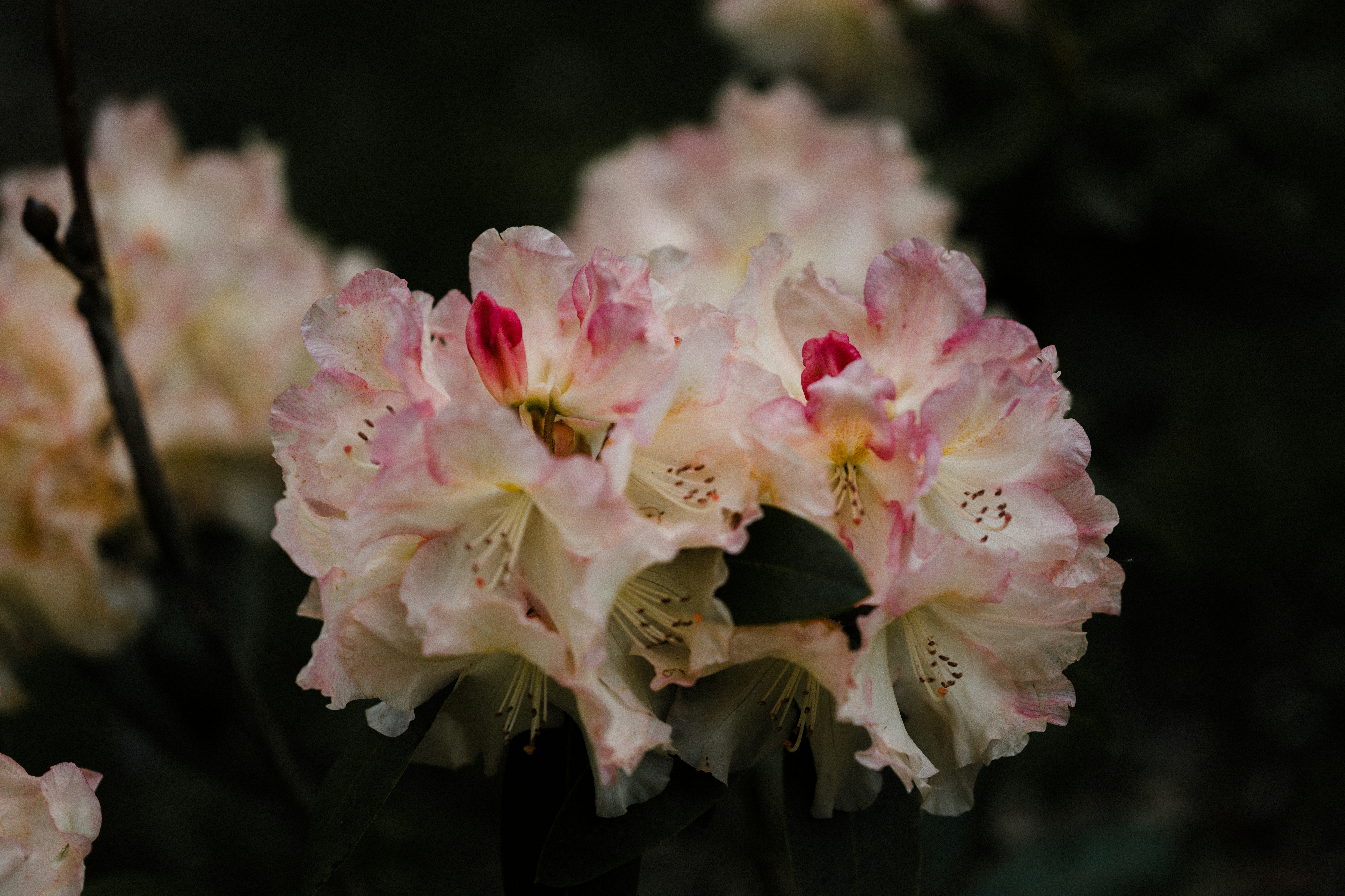 Photo by anniespratt