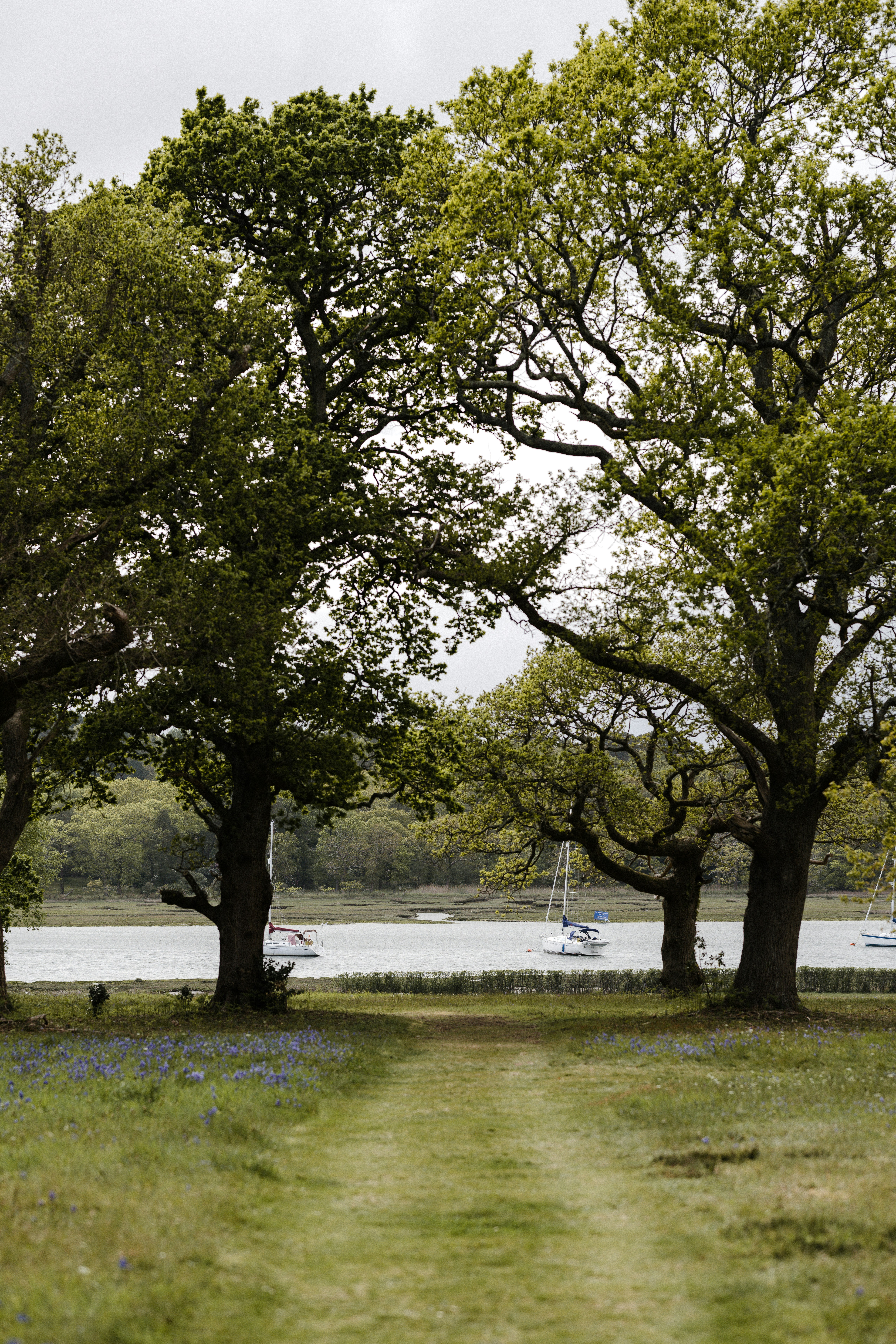 Photo by anniespratt