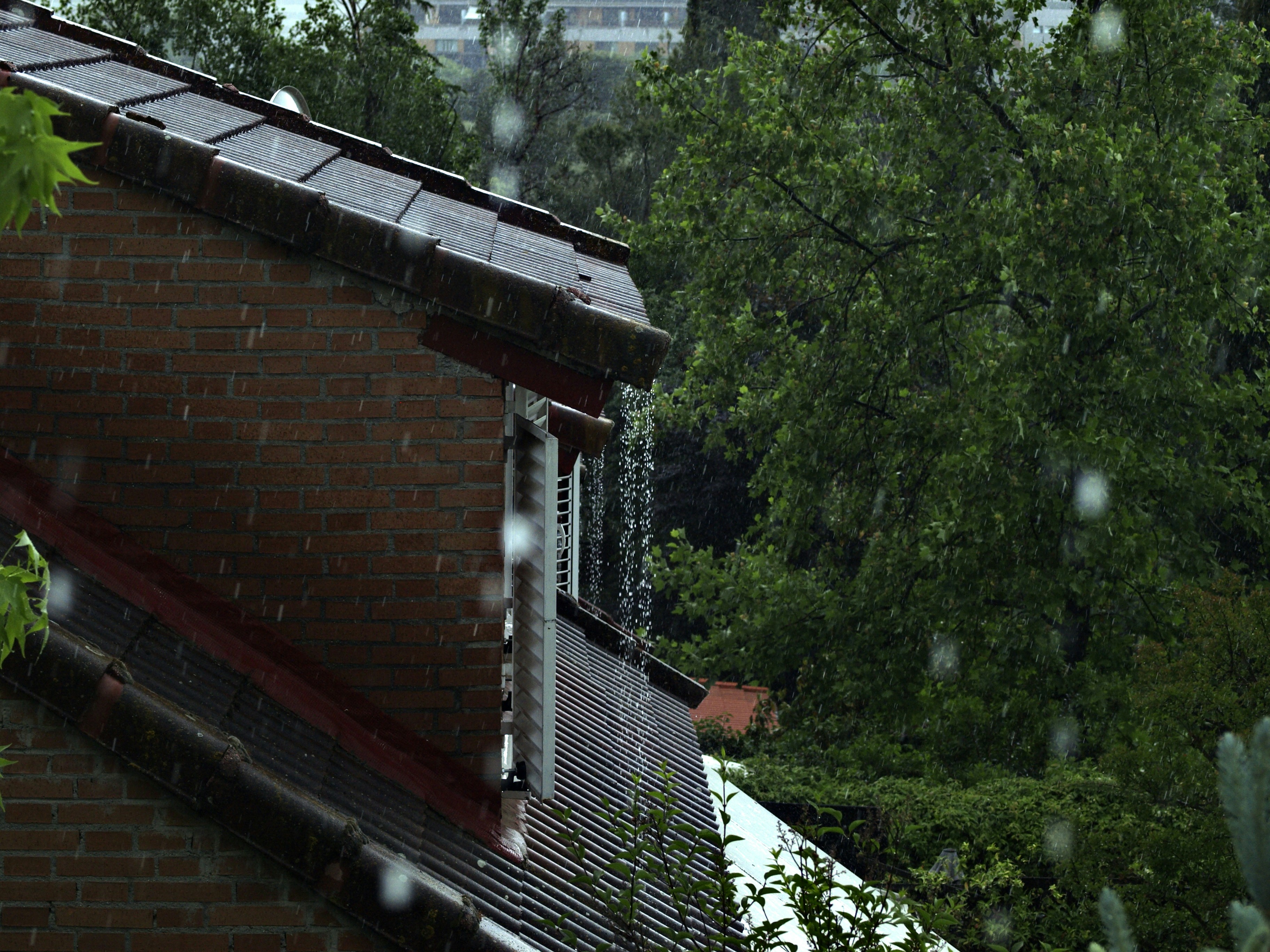 brown brick house near green trees during daytime