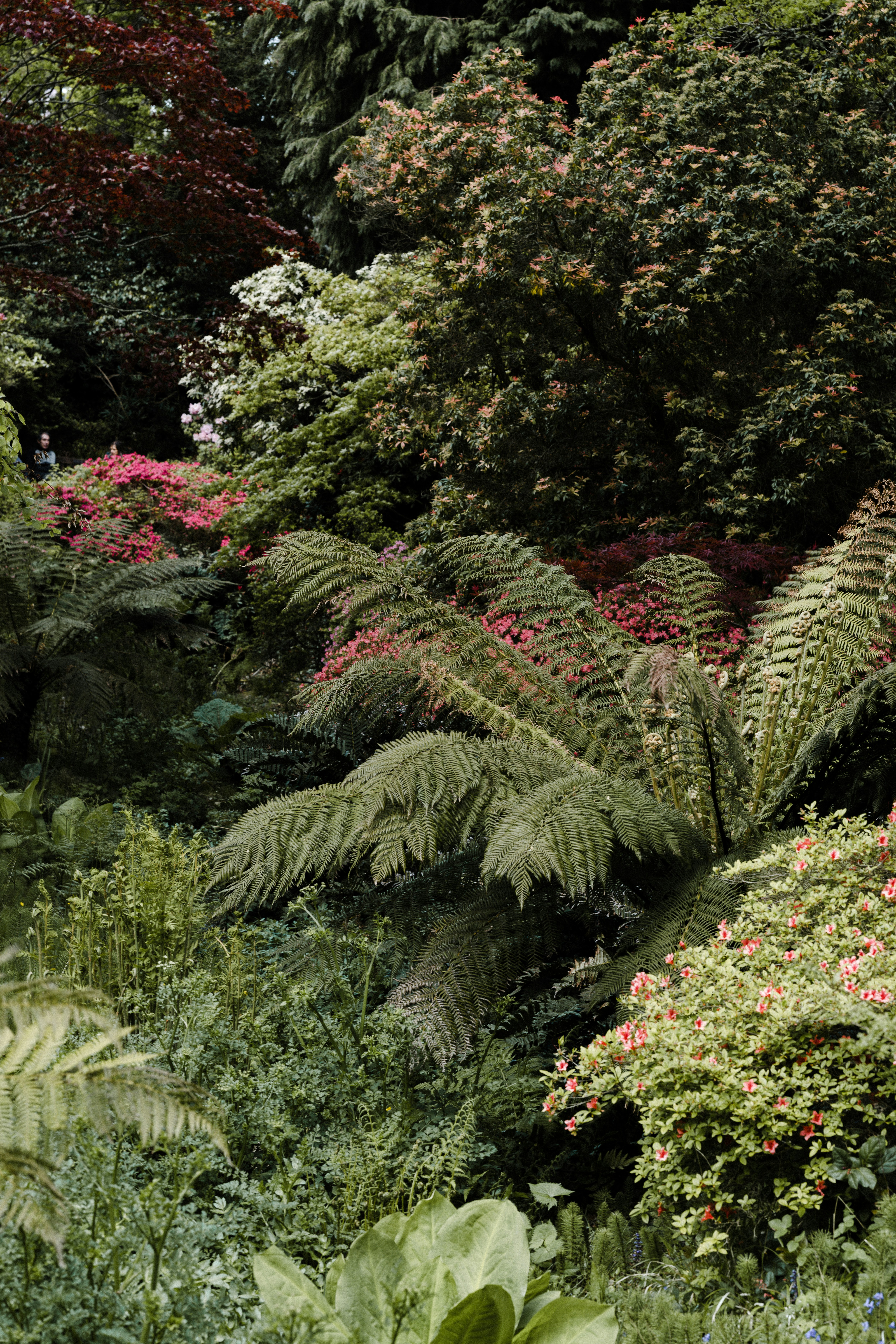 Photo by anniespratt