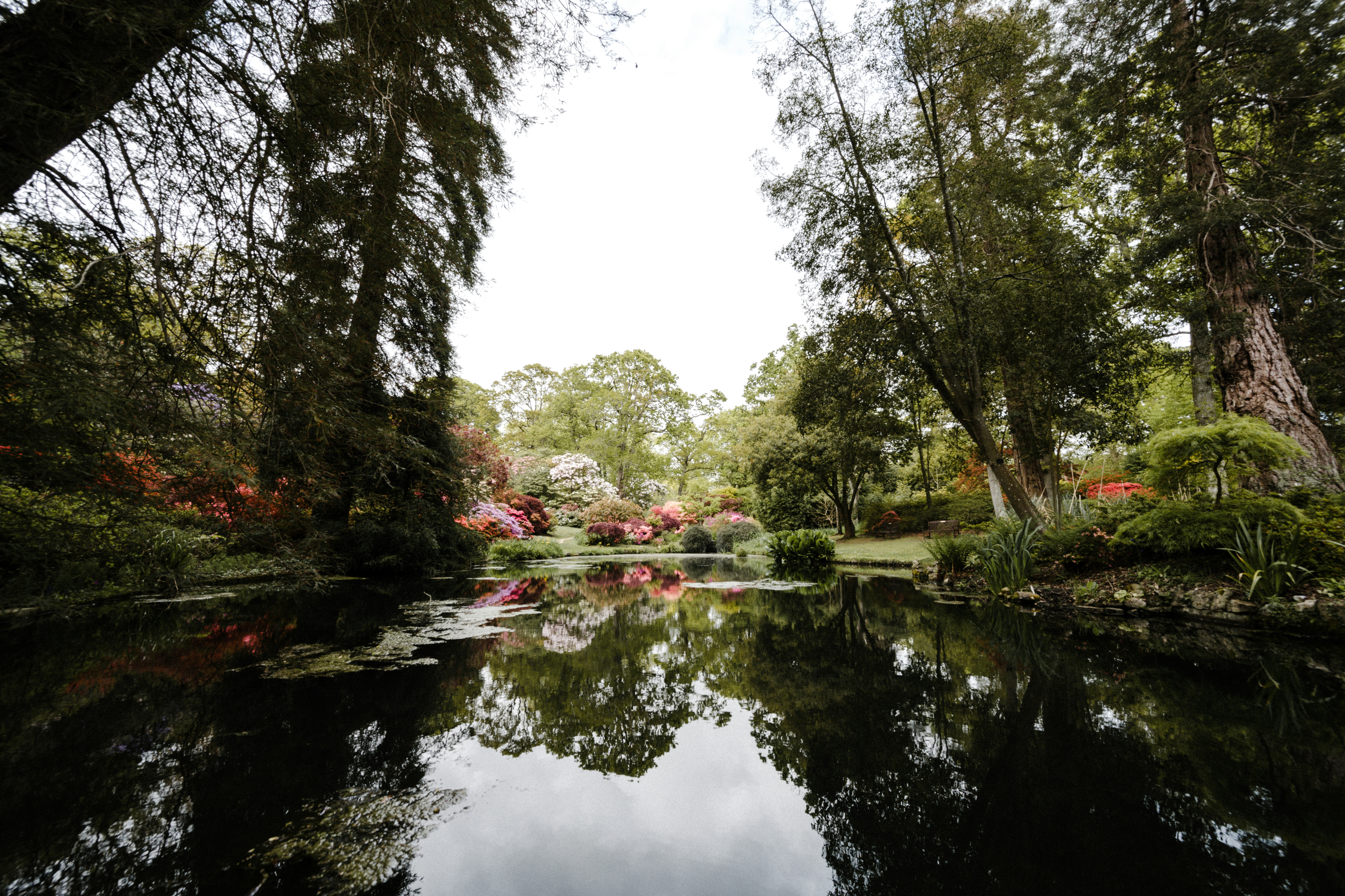 Photo by anniespratt