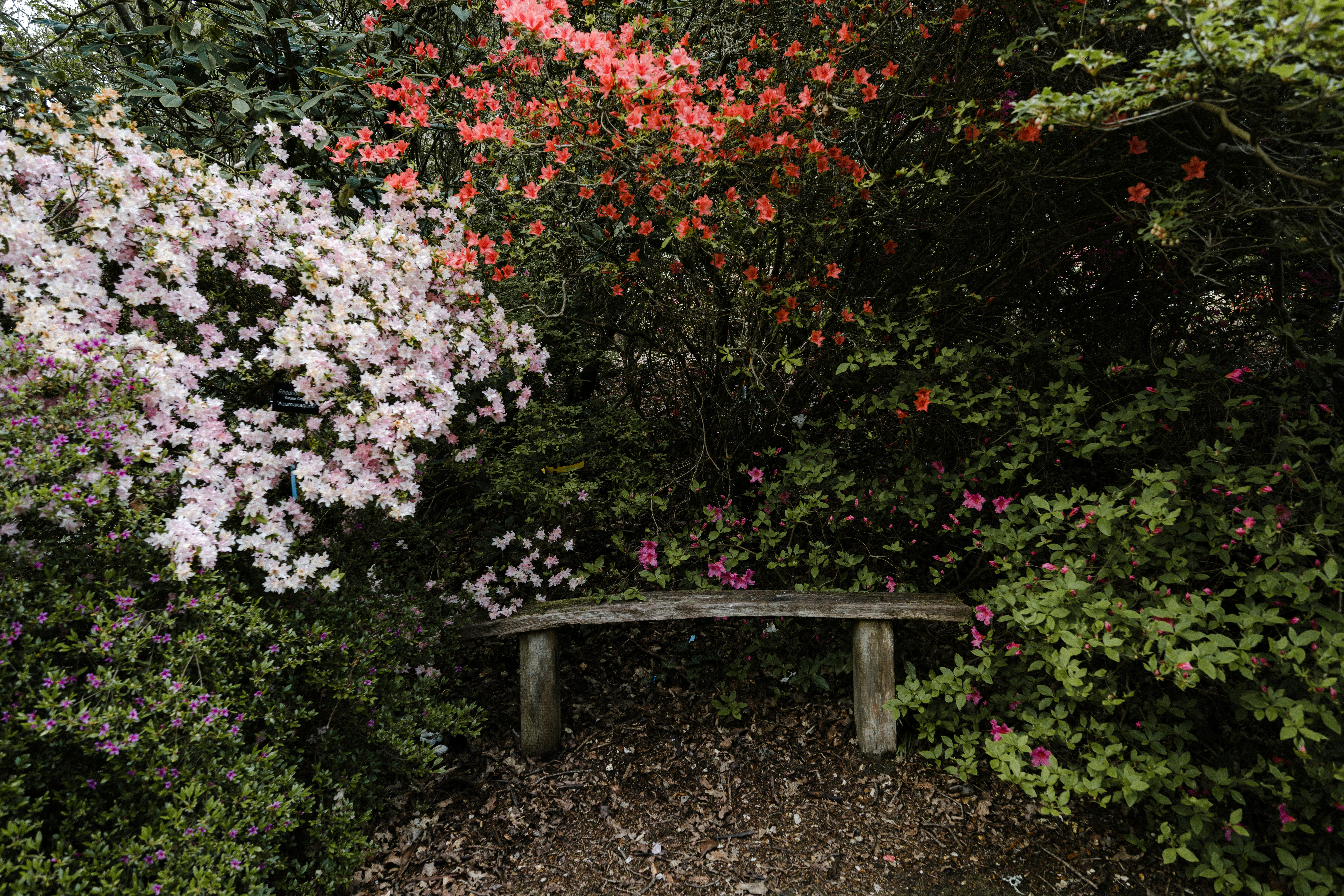 Photo by anniespratt