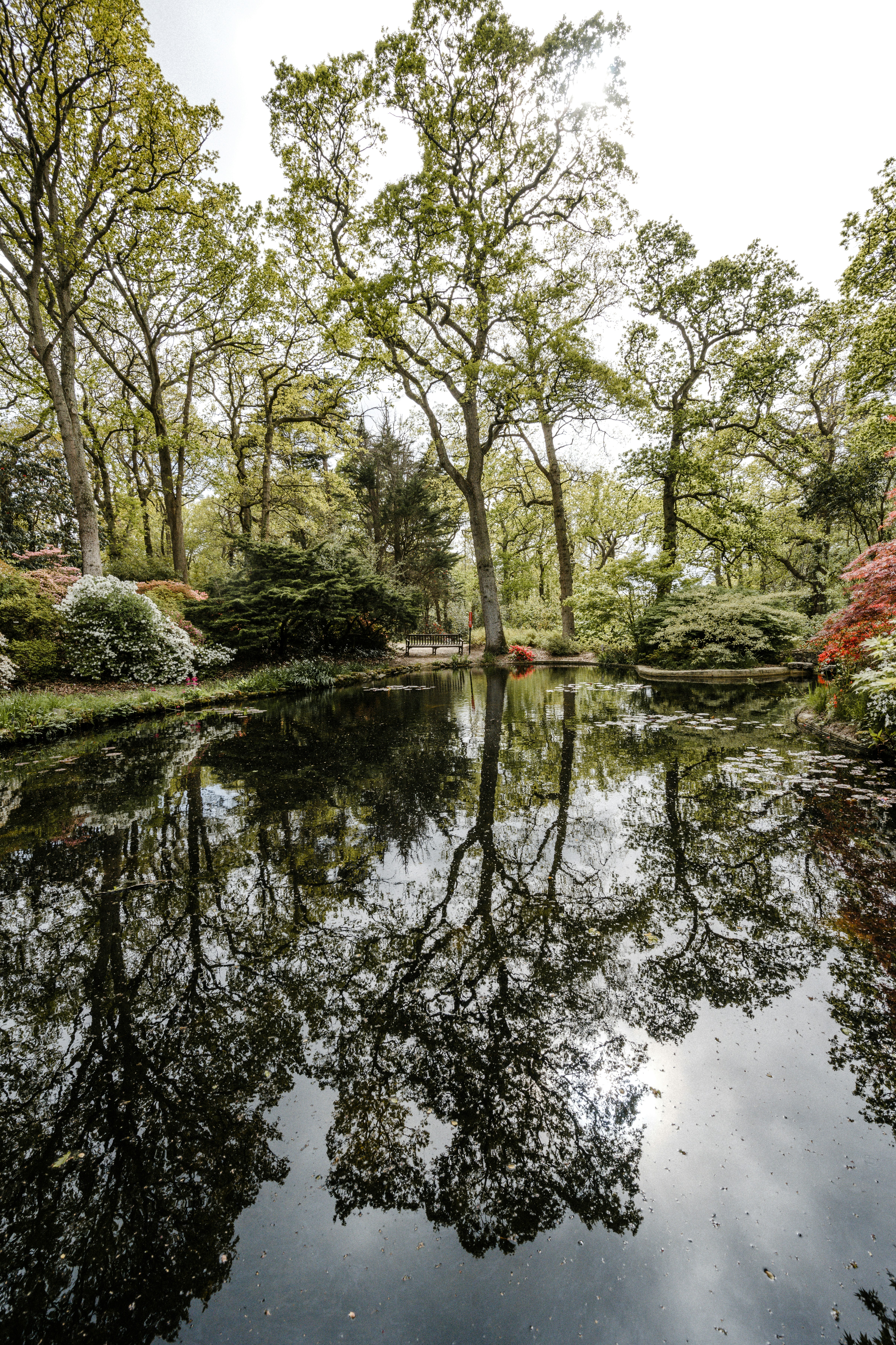 Photo by anniespratt