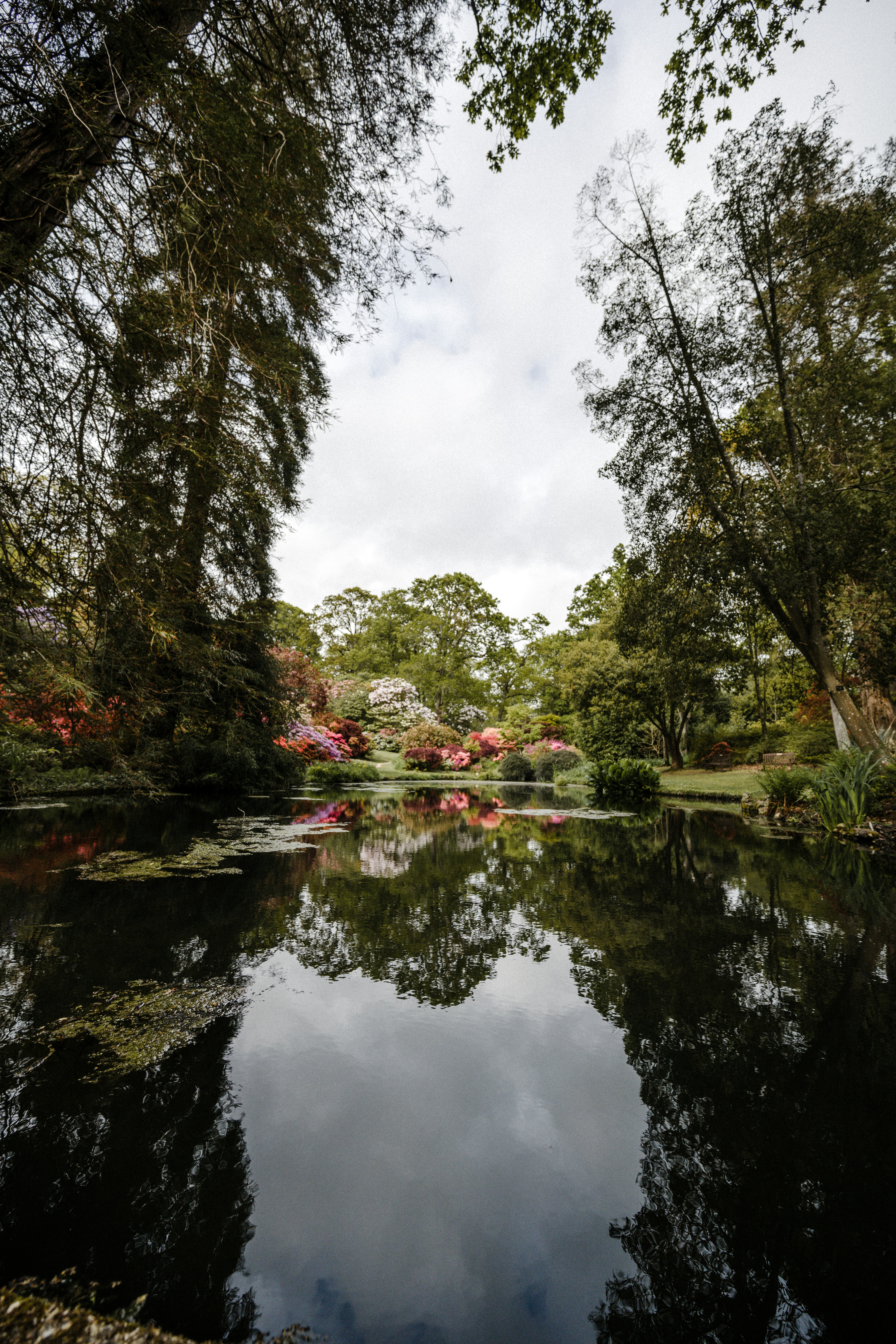 Photo by anniespratt