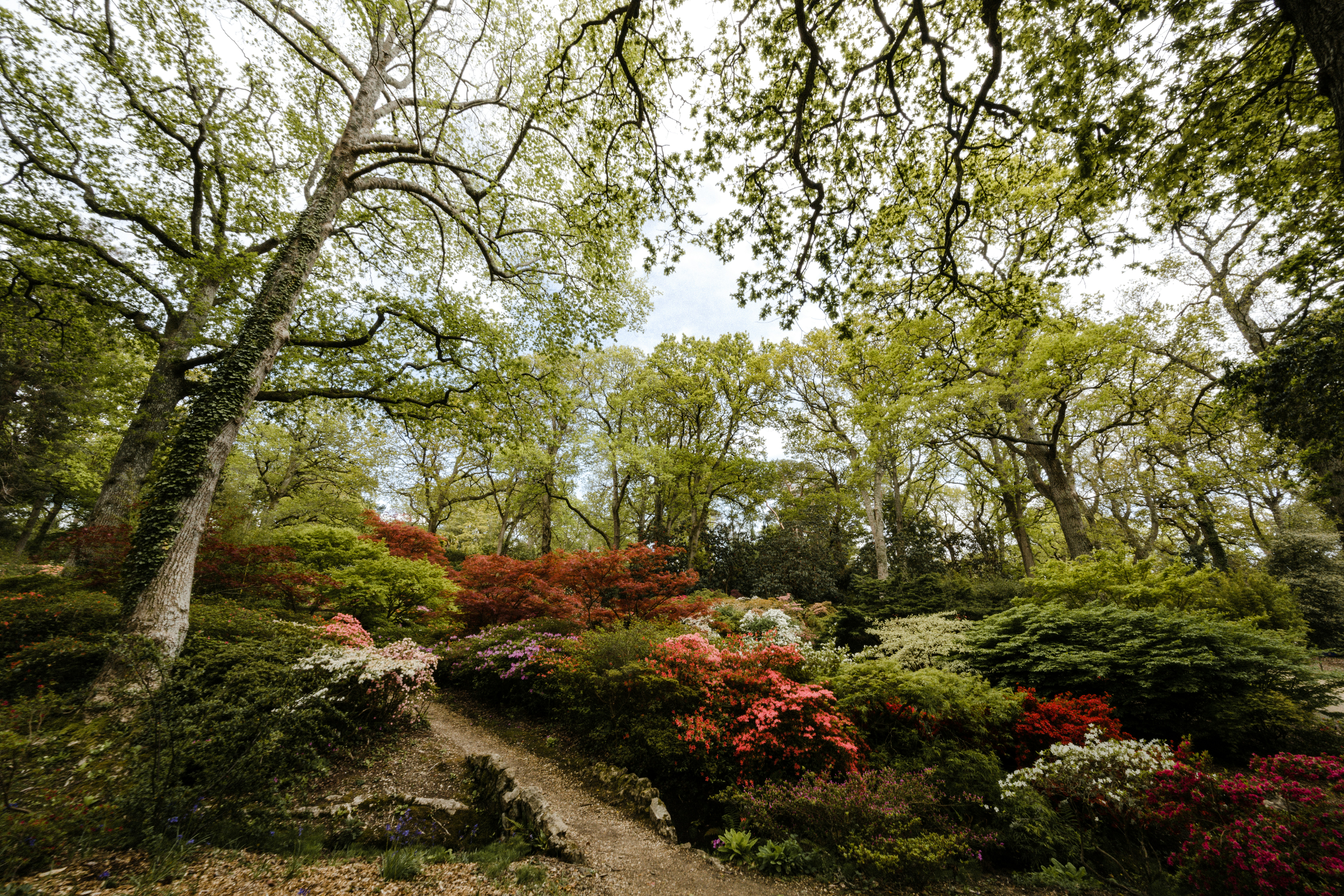 Photo by anniespratt